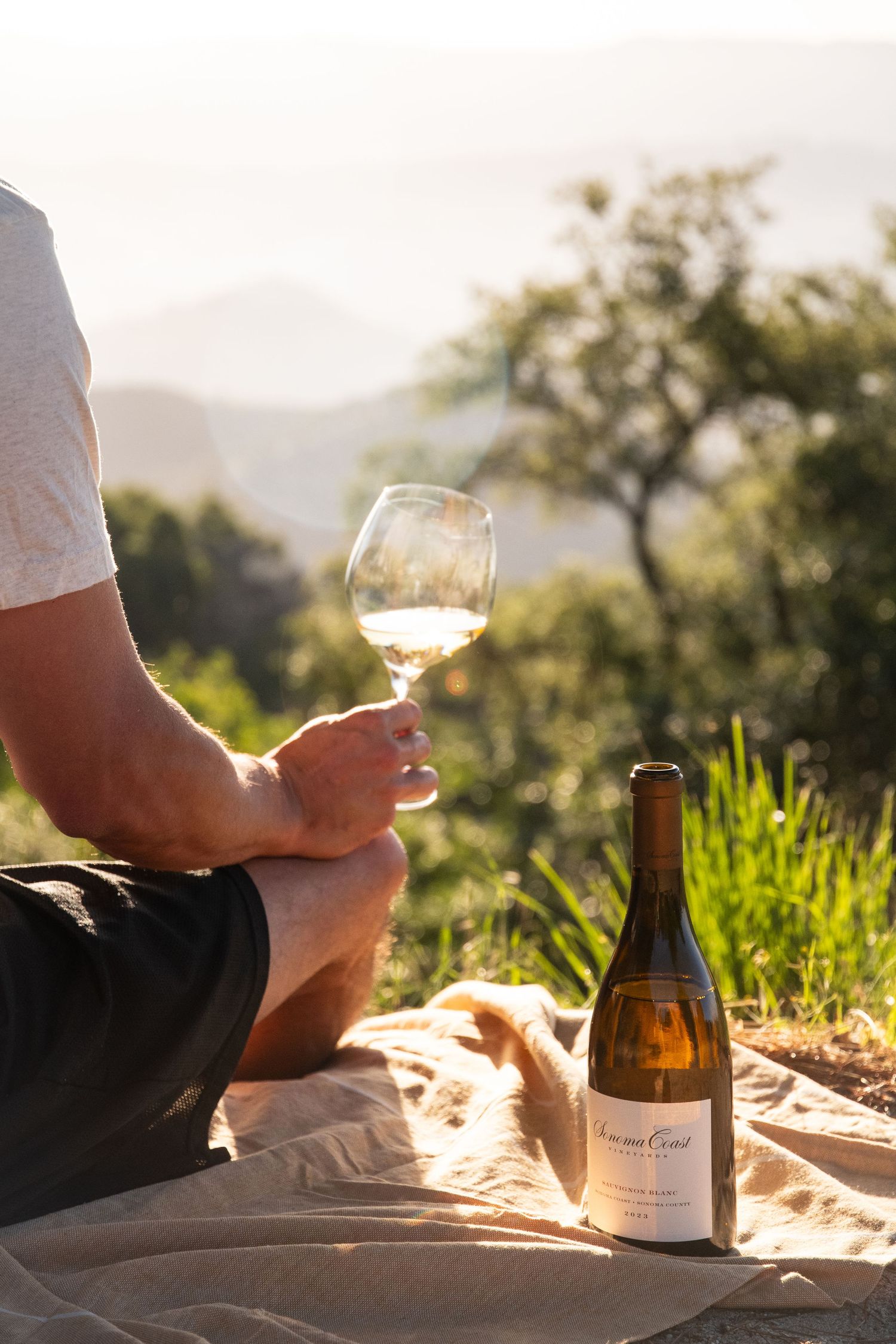 Wine bottle and glass silhouetted against sunset in vineyard setting.