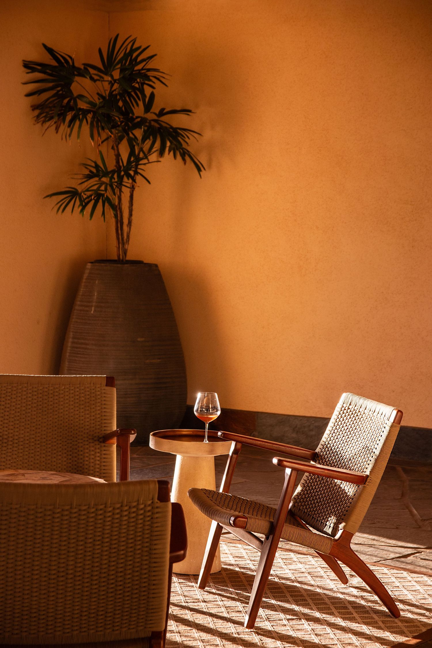 Cozy seating area with wicker chairs and potted plants in warm ambient lighting.