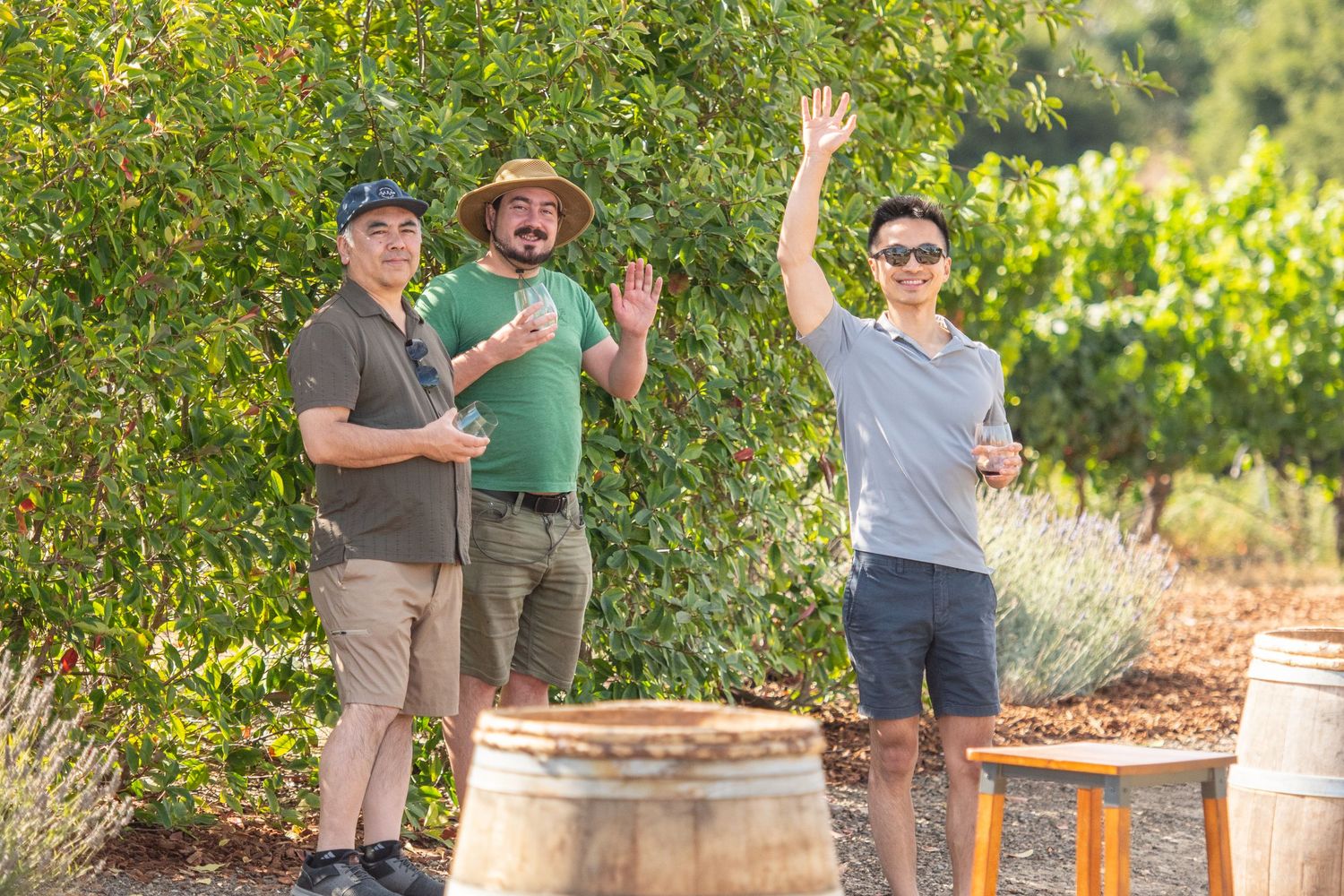 Group gathering between rows of grapevines for outdoor wine tasting event.