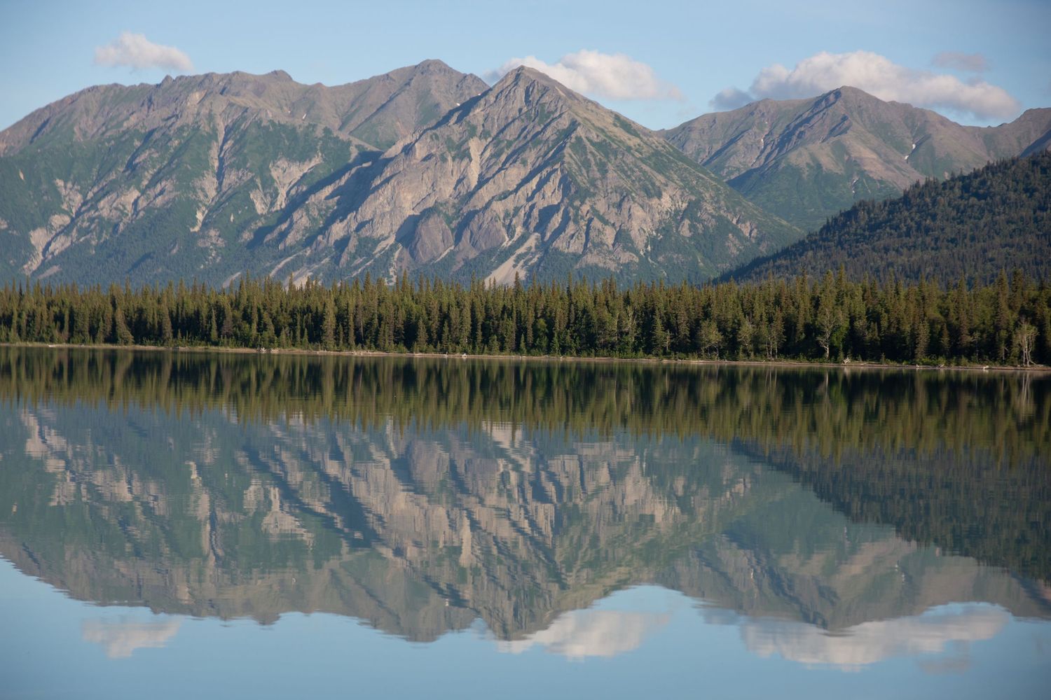 Mountain range reflecting perfectly in a calm lake surrounded by evergreen forest.