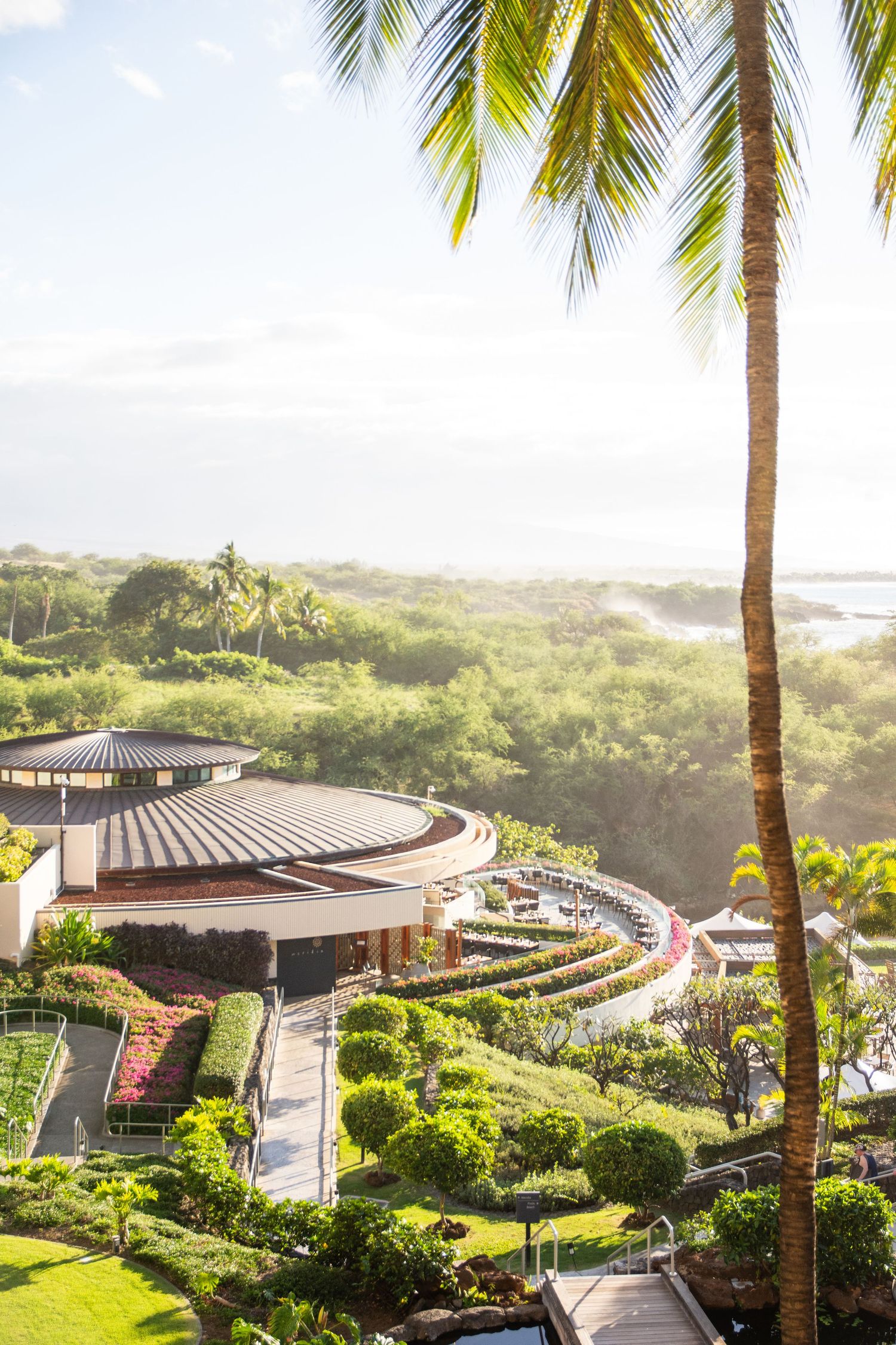 Luxury resort complex with curved architecture and landscaped gardens under palm trees.