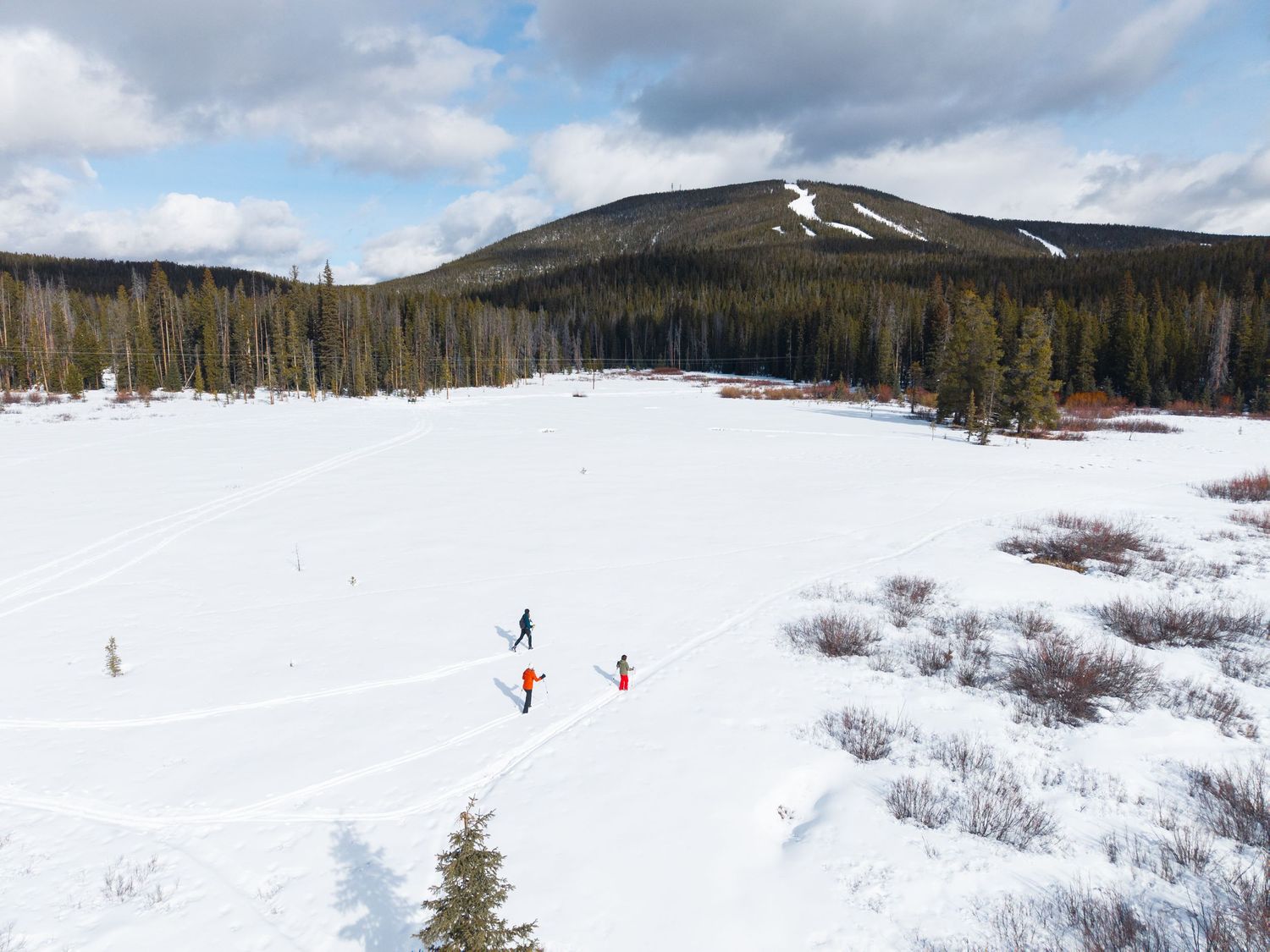 Aerial view of skiers crossing a vast snowy field surrounded by pine trees with a mountain in the background.