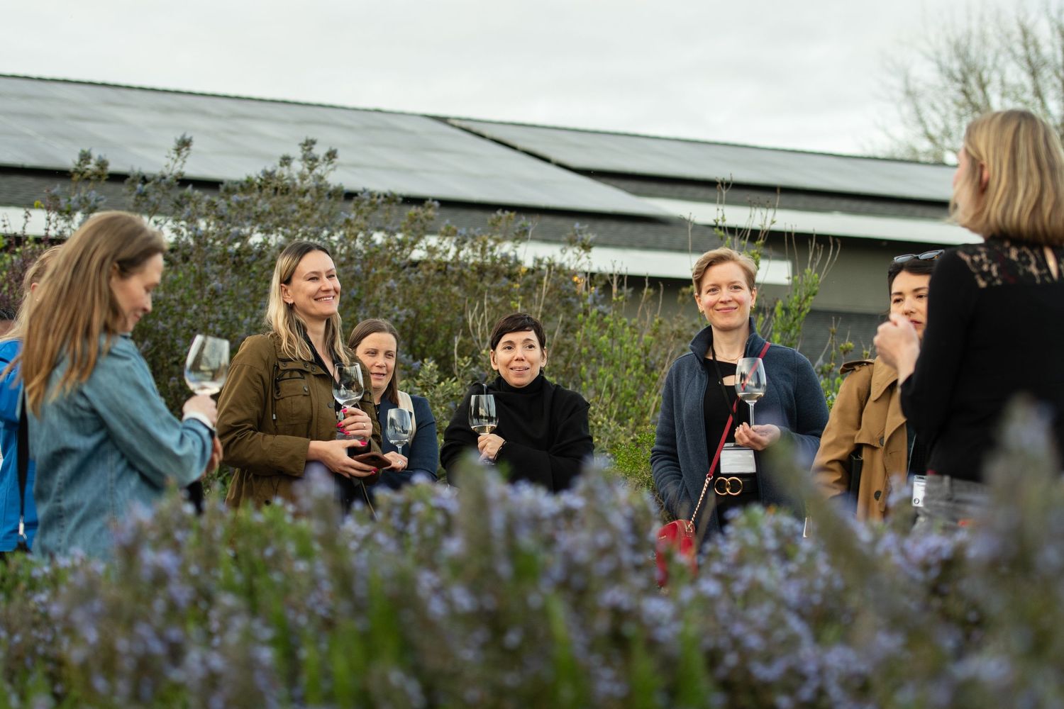 Group enjoying wine tasting among blooming lavender flowers in a garden setting.