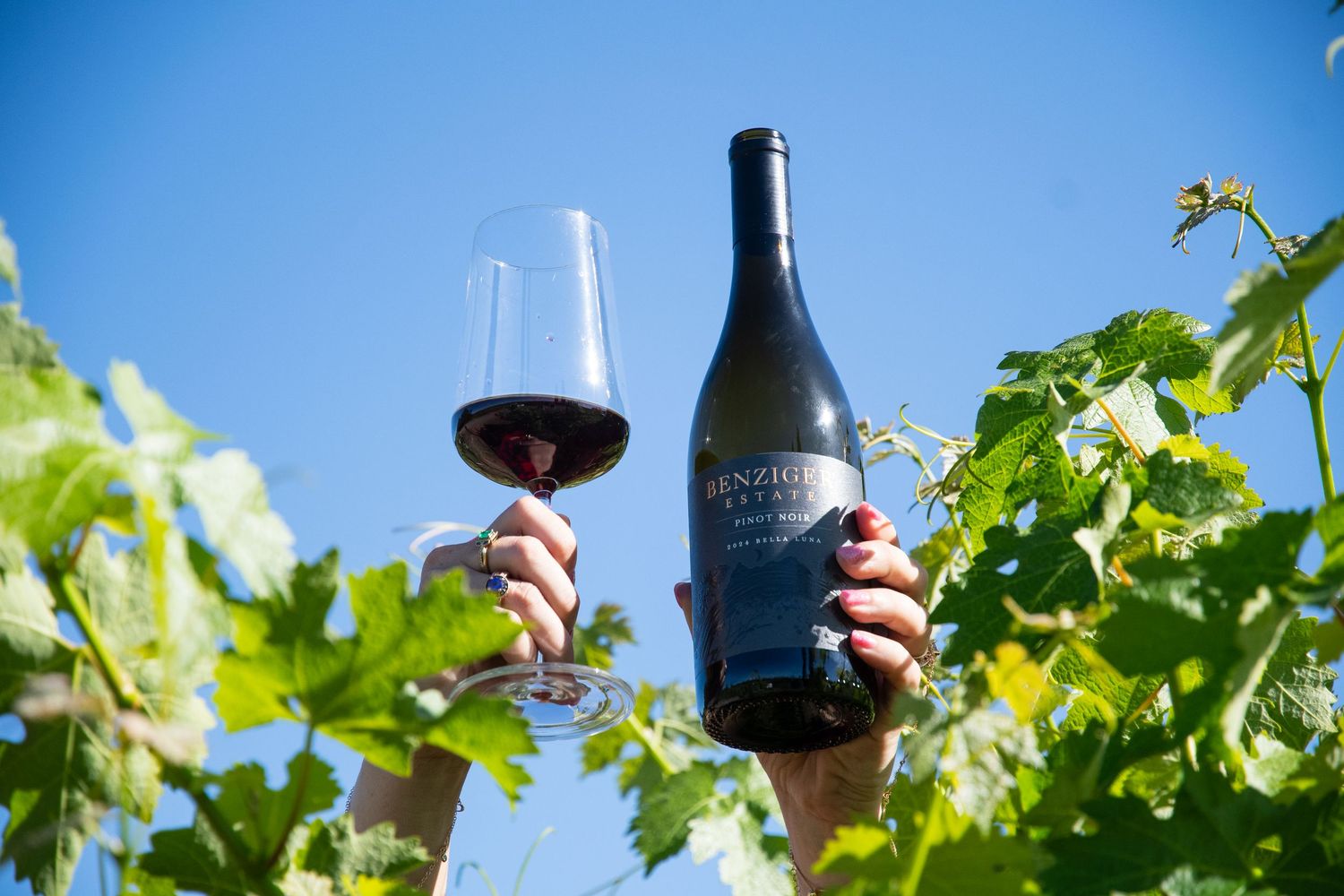 Hands holding a glass and bottle of Benziger red wine among lush green vineyard vines under a clear blue sky.