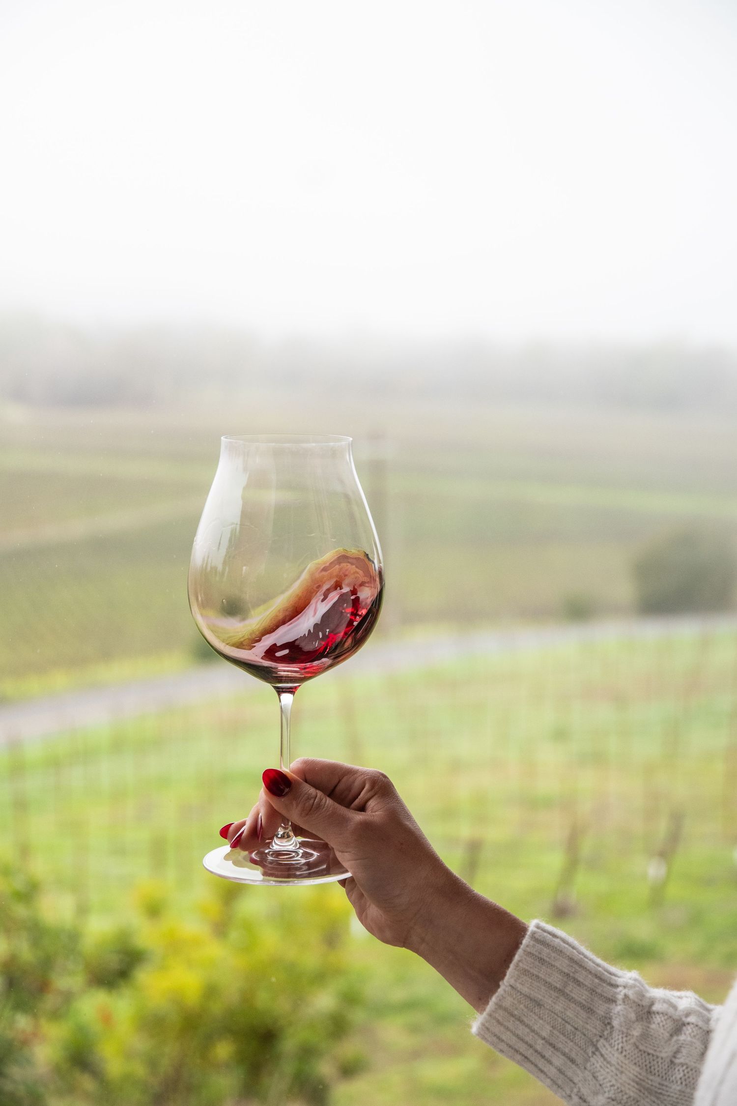 Hand holding a swirling glass of red wine against a misty vineyard backdrop.