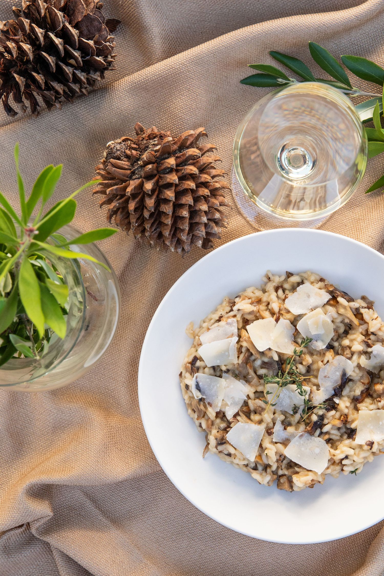 Creamy risotto dish garnished with shaved cheese and herbs, surrounded by pine cones.