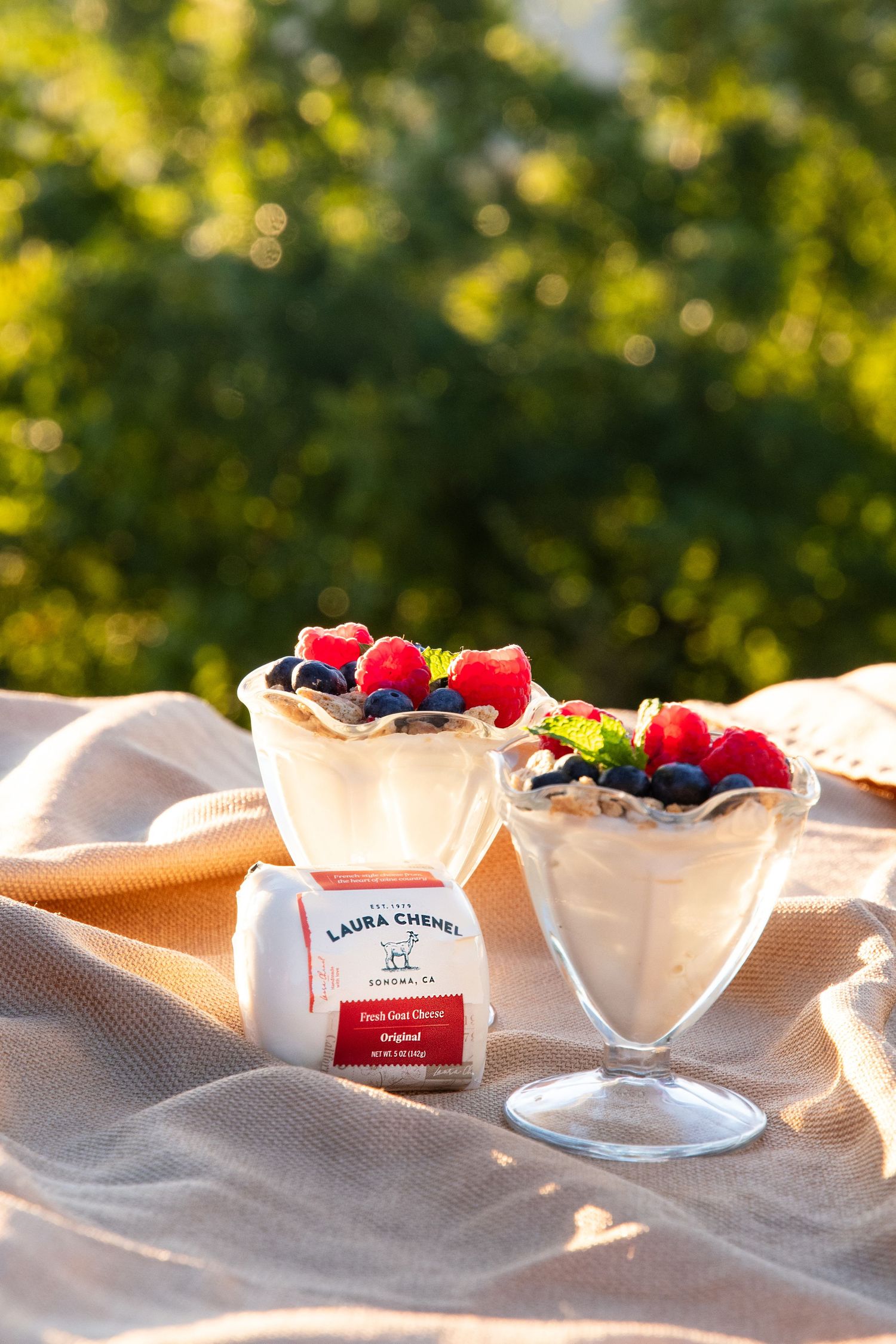 Two elegant dessert glasses filled with yogurt parfait topped with fresh berries and mint.