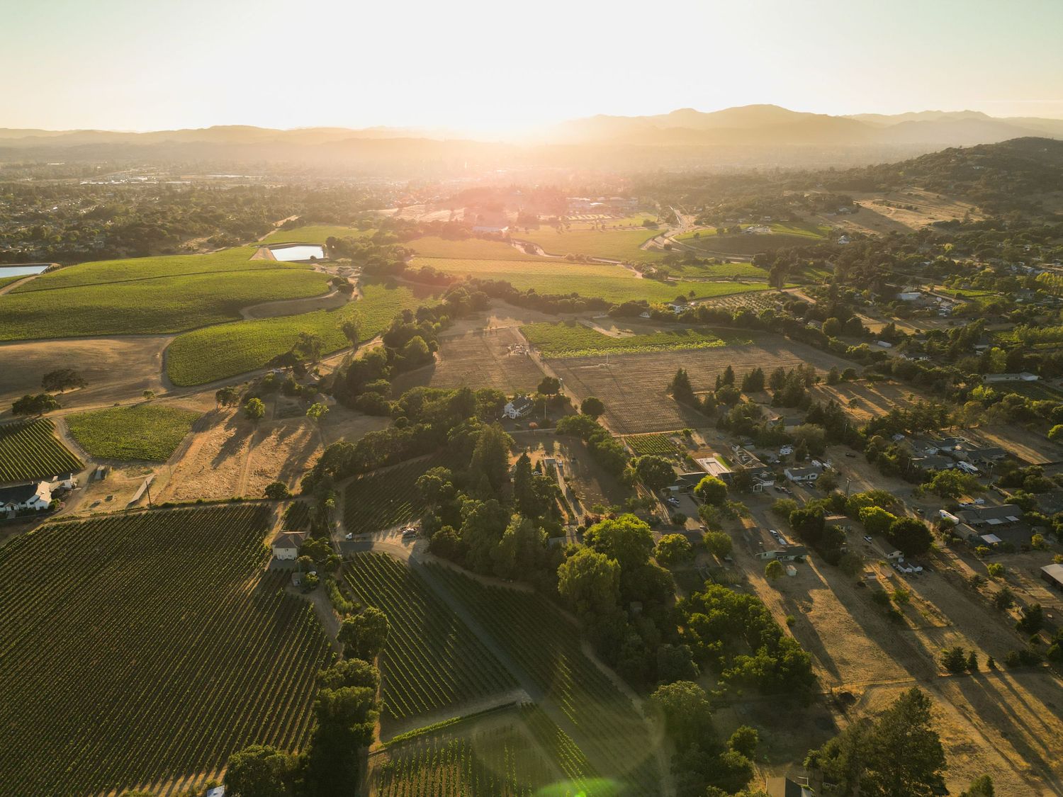 Aerial sunset view of Napa Valley vineyards and rural landscape with rolling hills and golden light.