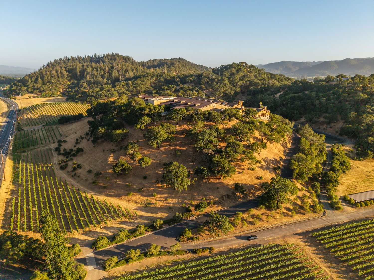 Aerial view of a hilltop vineyard estate surrounded by lush green vines and forested hills in golden sunlight.