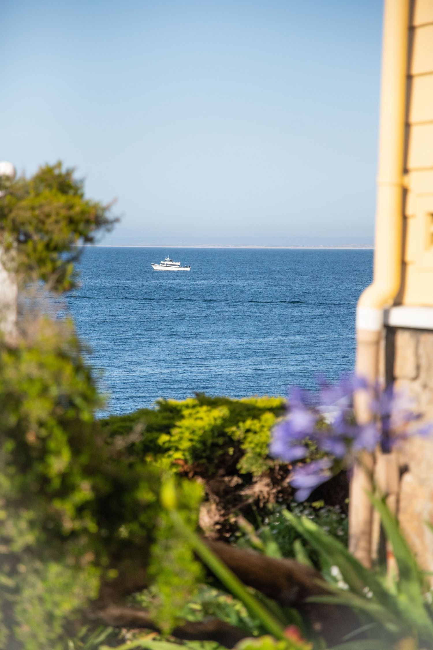 Small boat visible in distance through window with purple flowers in foreground.