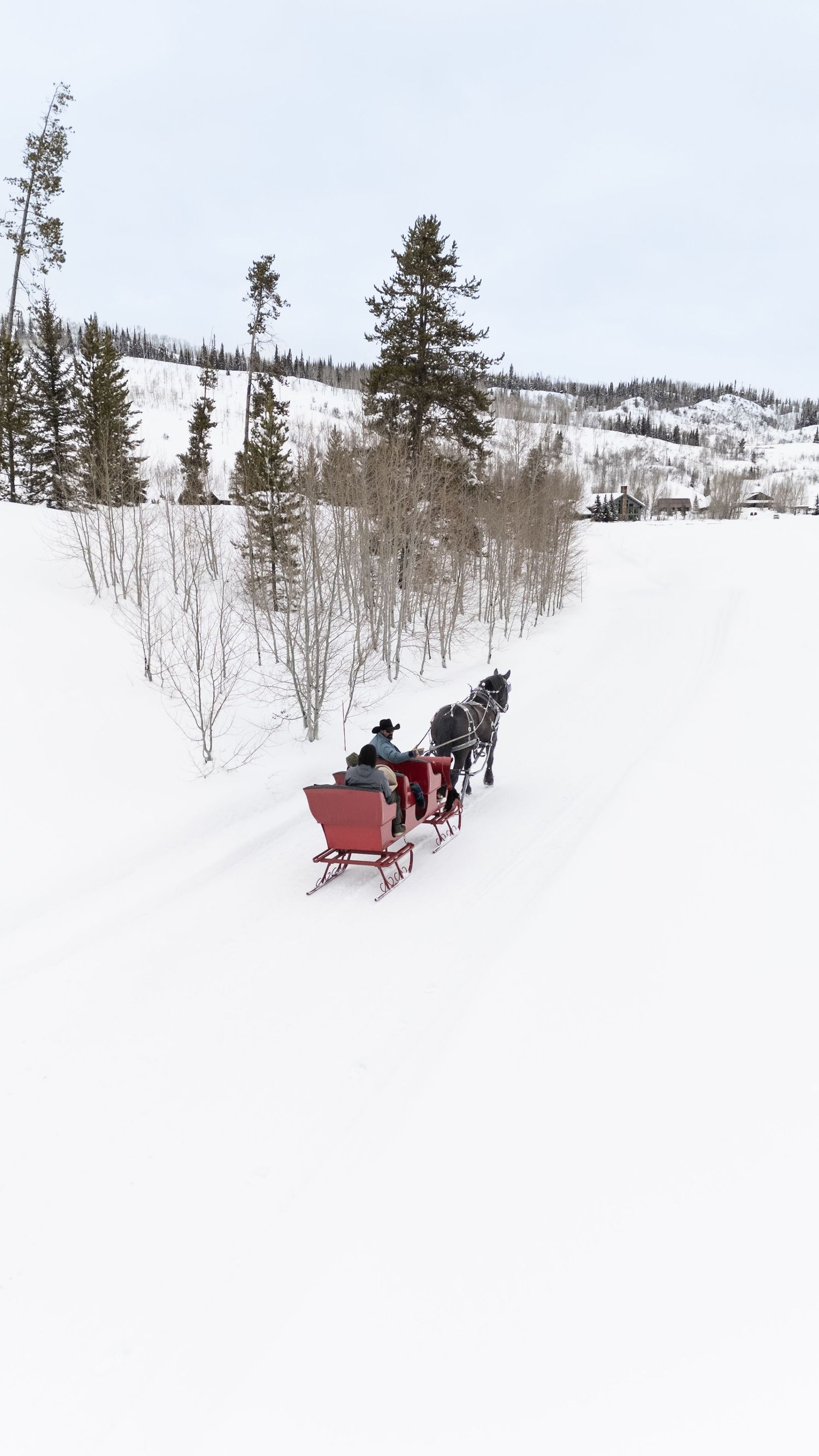 A horse-drawn red sleigh carries passengers through a snowy winter landscape with pine trees in the background.