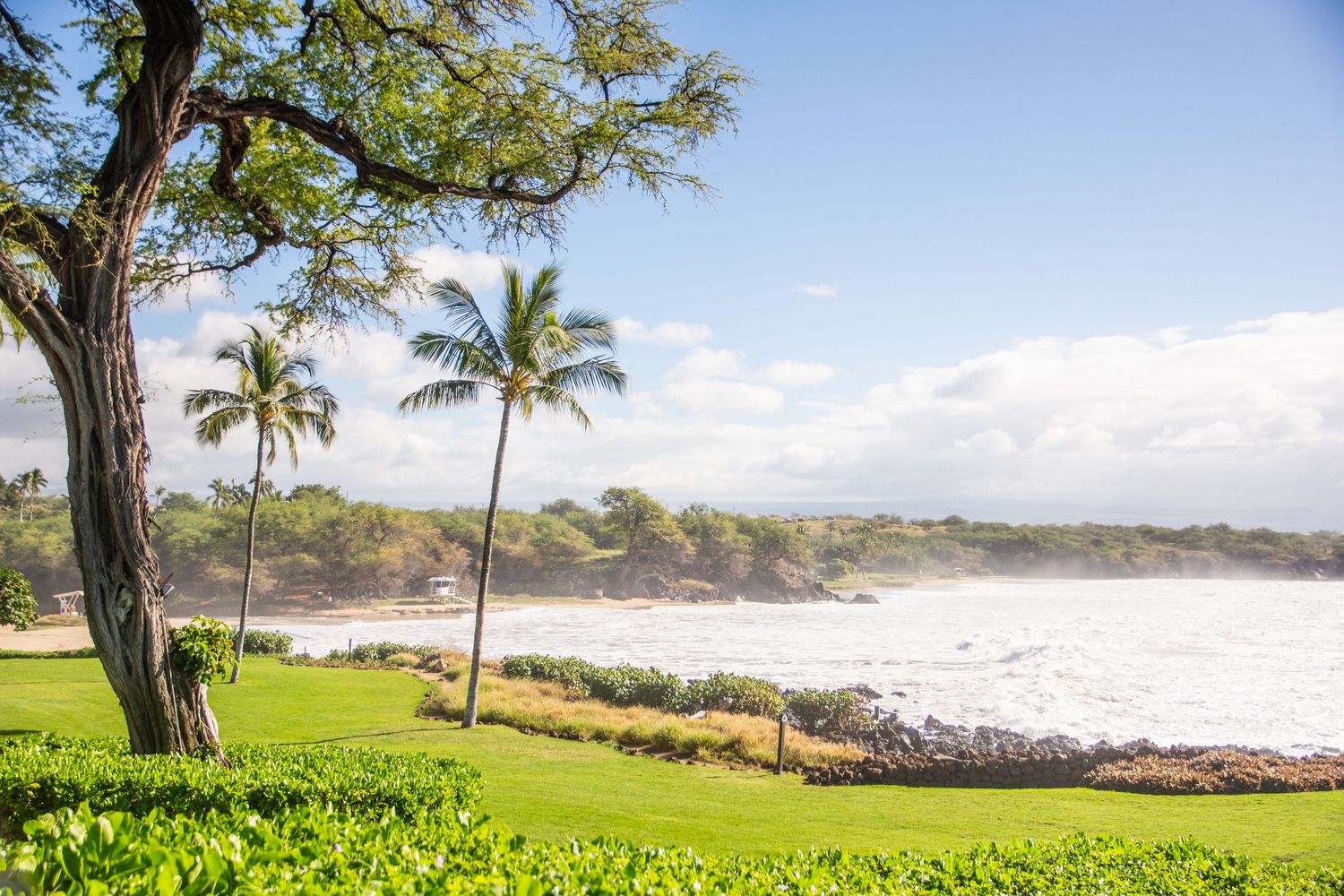 Tropical beach landscape with palm trees and crashing waves on a sunny Hawaiian coastline.