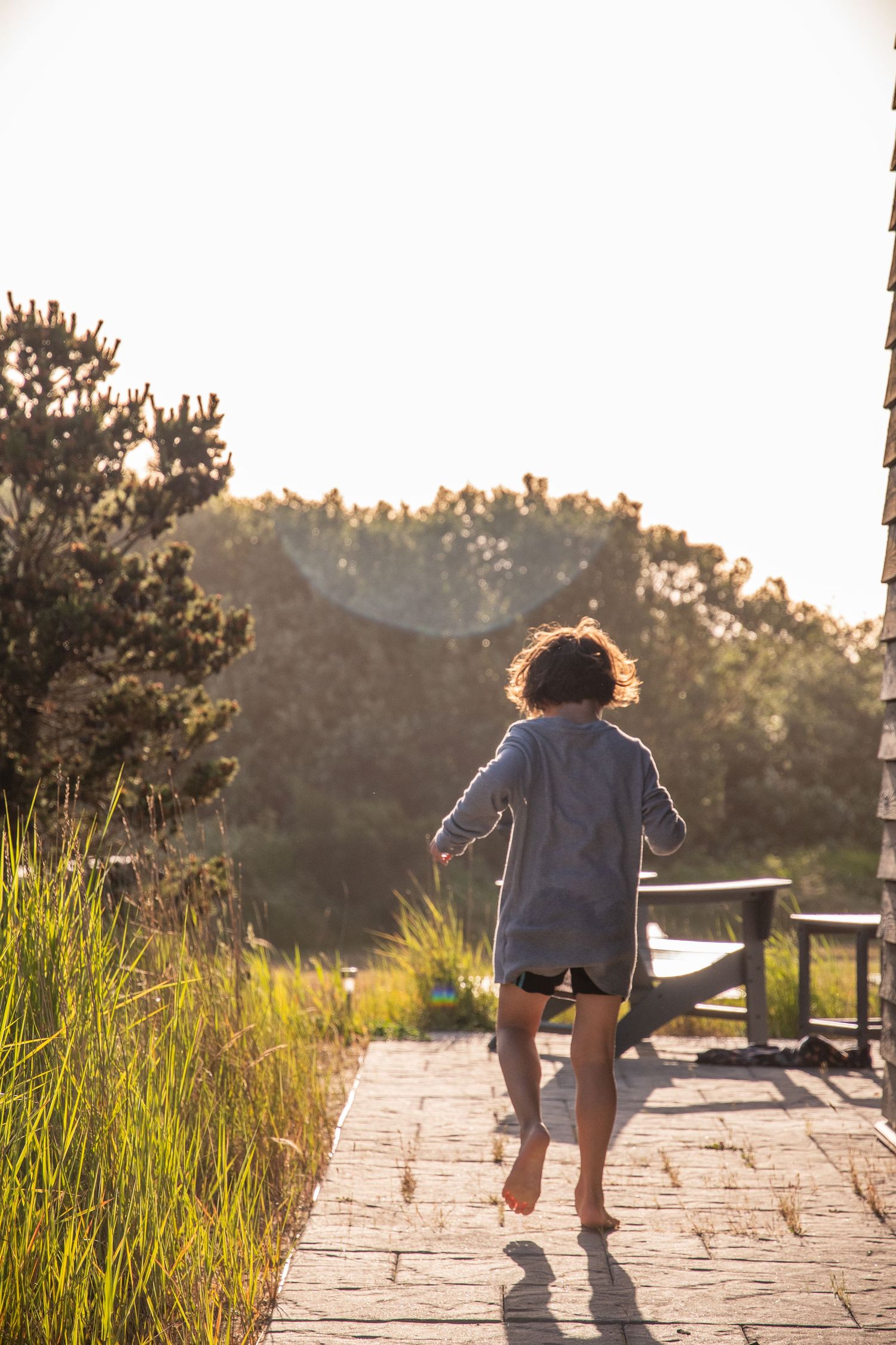 Wooden boardwalk through coastal grass backlit by golden sunset light.