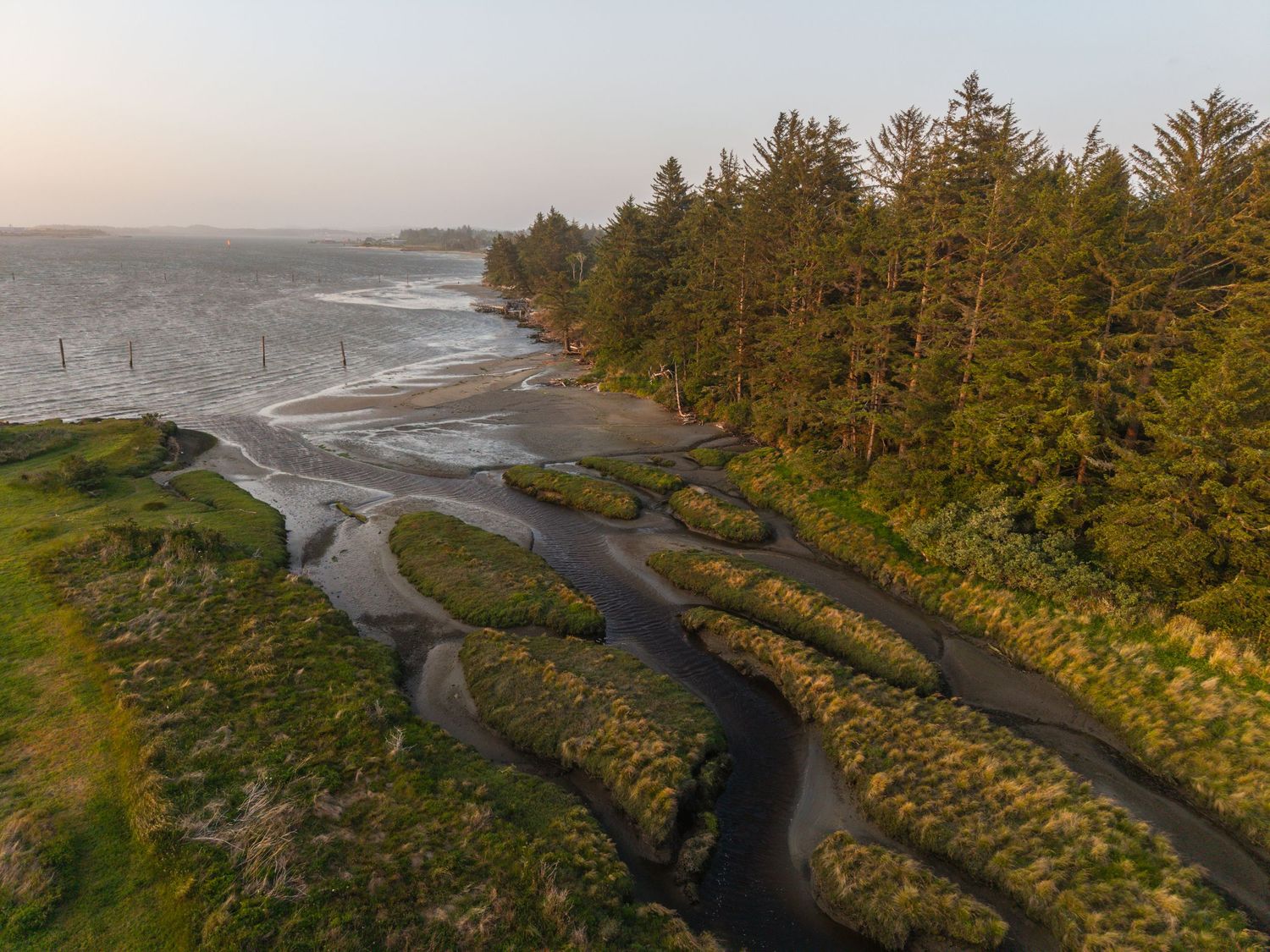 Aerial view of winding coastal rivers and evergreen forest meeting the Pacific Ocean.