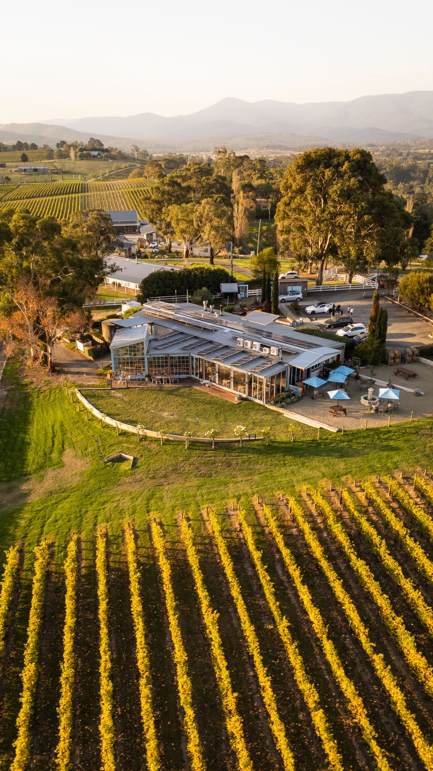 Aerial view of a winery estate surrounded by lush vineyard rows with mountain backdrop at golden hour.