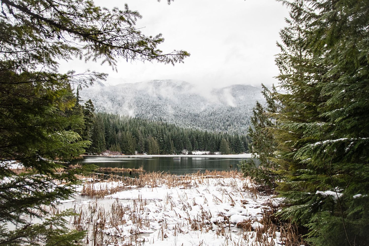 Snow-dusted evergreen trees frame a serene mountain lake with misty forested peaks in the background.