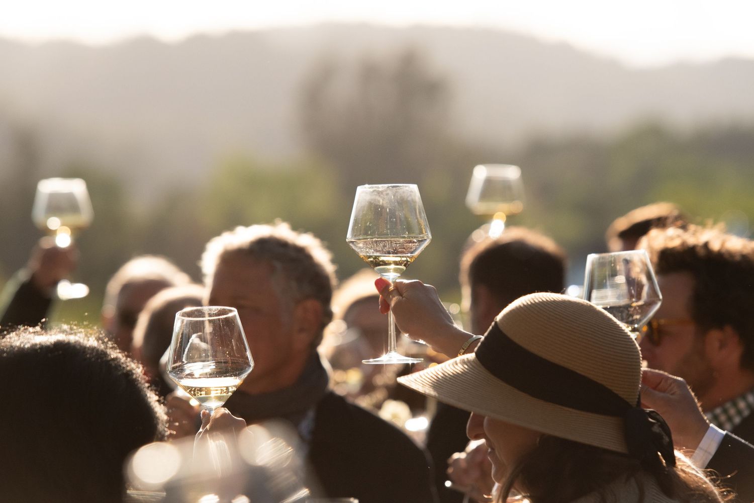 Crowd of people raising glasses of white wine in a toast outdoors at a sunny vineyard wine tasting event.