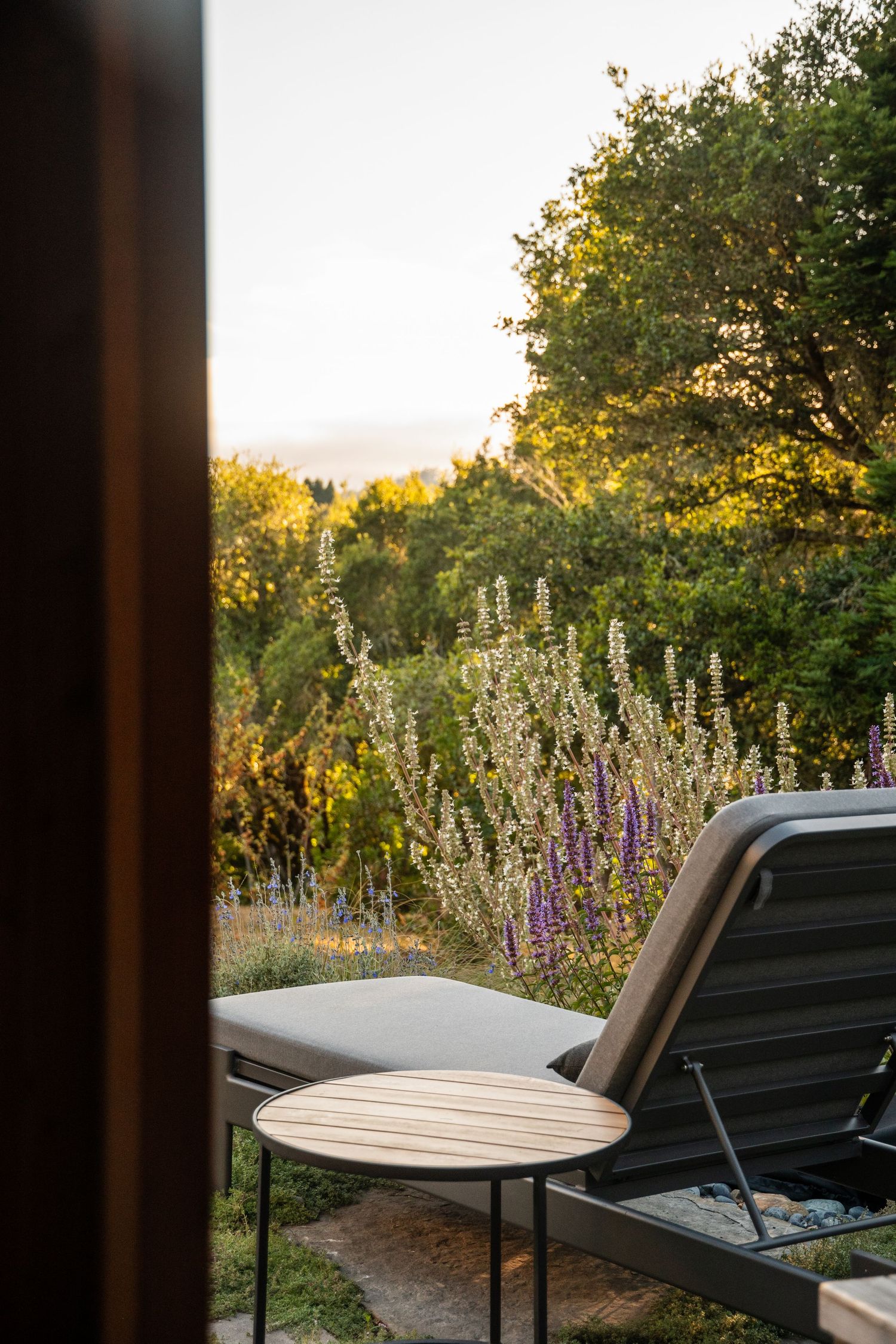 Garden view with outdoor seating and blooming wildflowers at sunset.