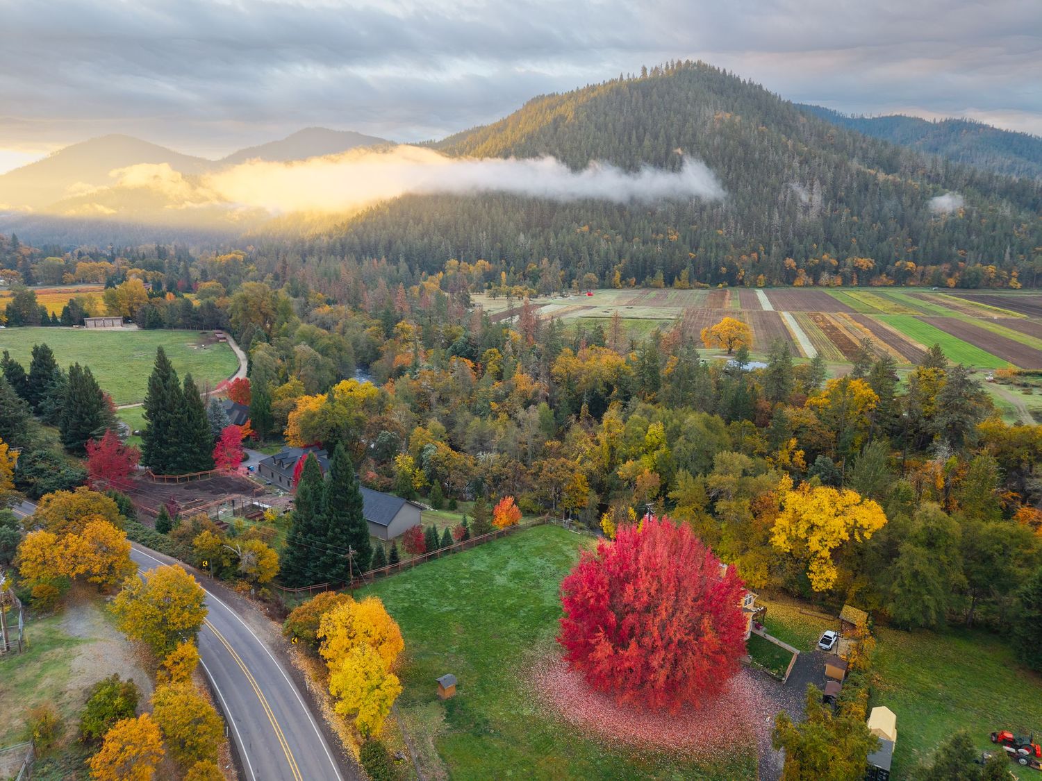Aerial autumn landscape with colorful trees, winding road, farmland, and misty mountains at sunset.