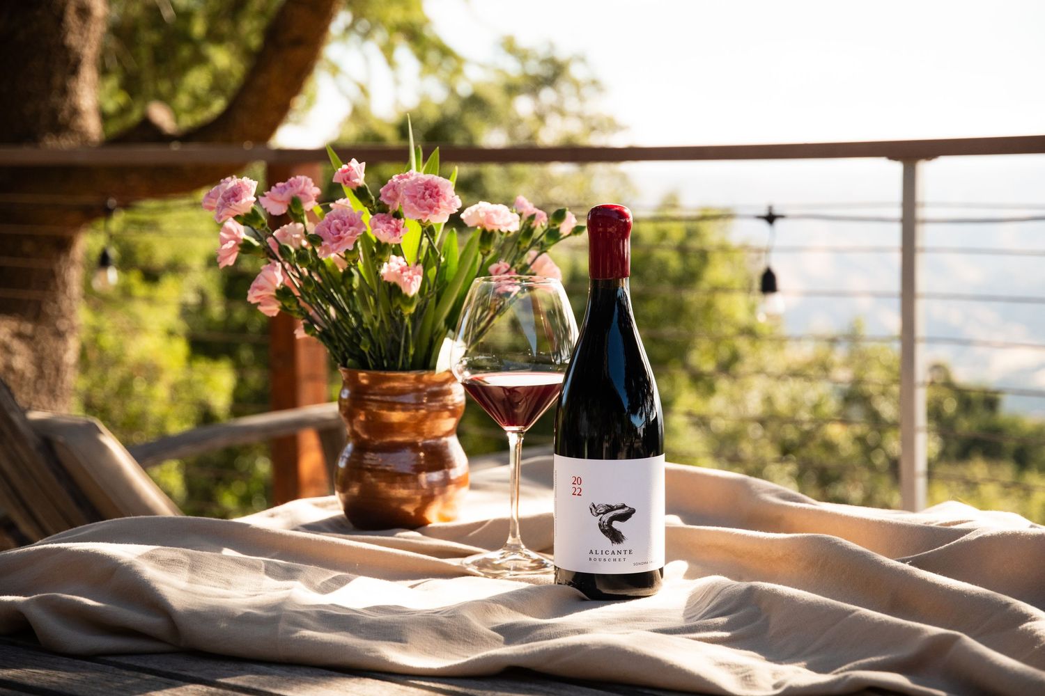 Scenic outdoor wine tasting setup with mountain views and natural lighting.