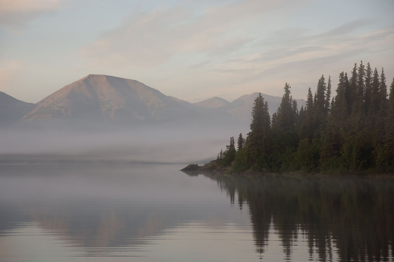 Foggy mountain lake surrounded by evergreen forest at dawn.