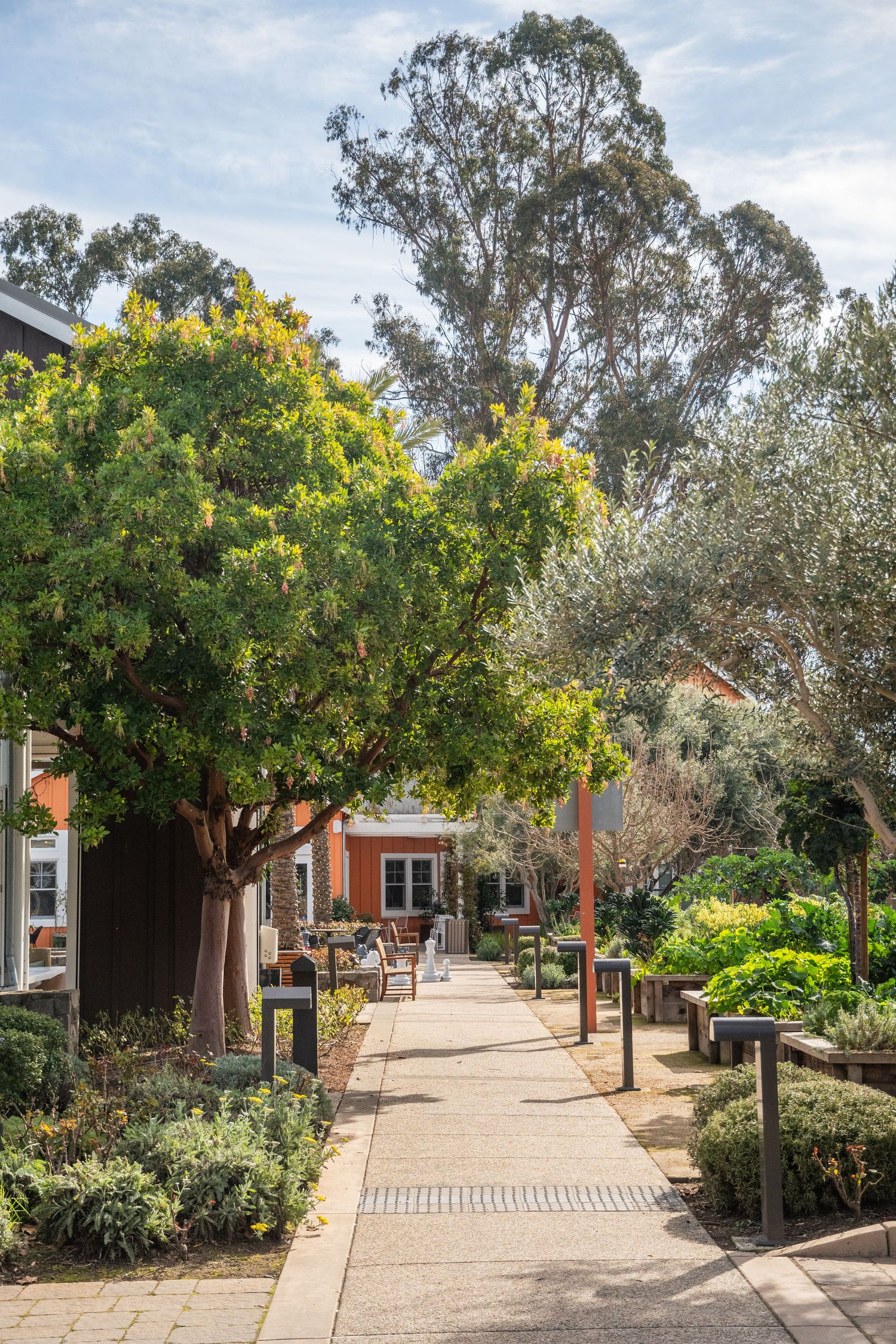 Sunlit garden pathway with mature trees and landscaping leading to a brick building.