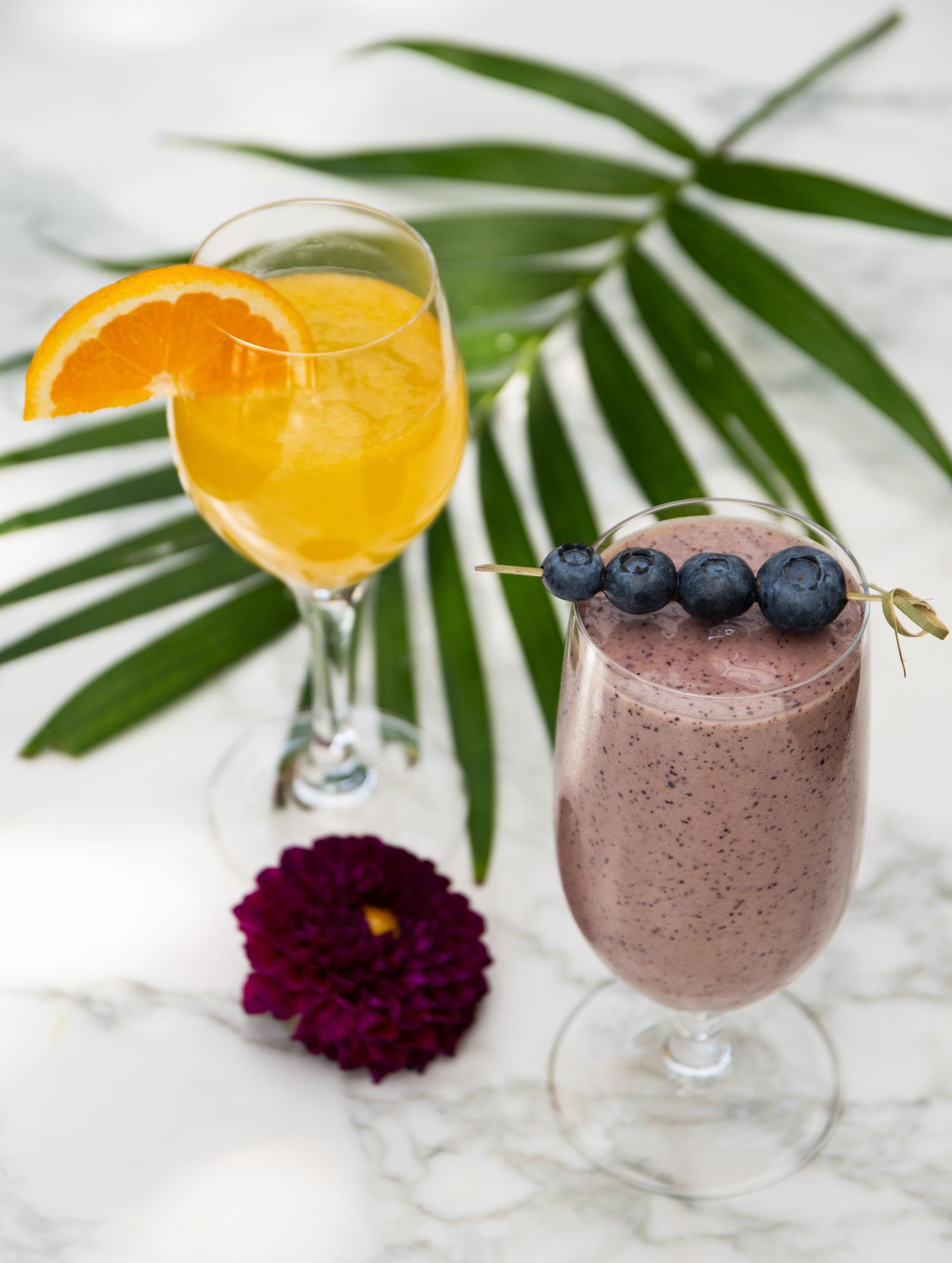 Tropical smoothie garnished with orange slice and blueberries served in elegant glassware.