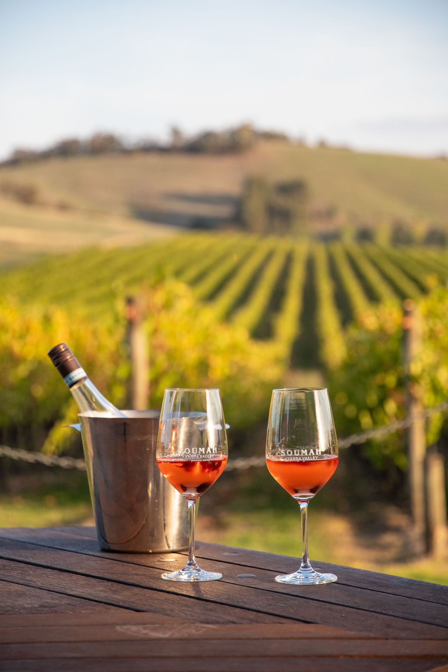 Wine glasses and ice bucket on wooden table overlooking scenic vineyard at sunset.
