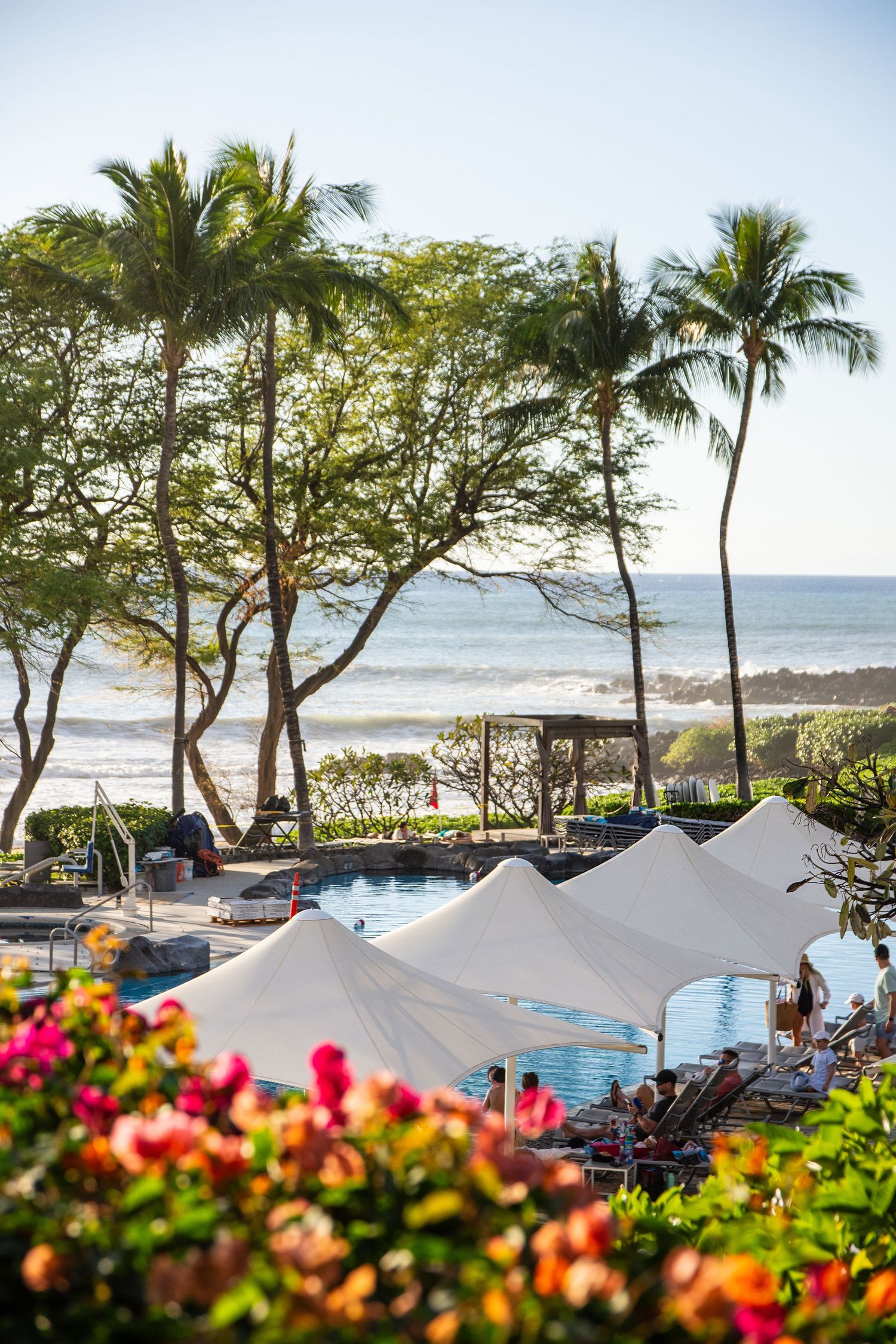 Beachfront view with palm trees, white tents, and colorful tropical flowers in the foreground.