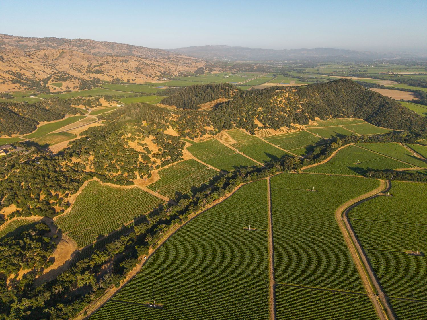 Aerial view of lush green vineyard rows nestled among rolling hills in a scenic California wine country valley.