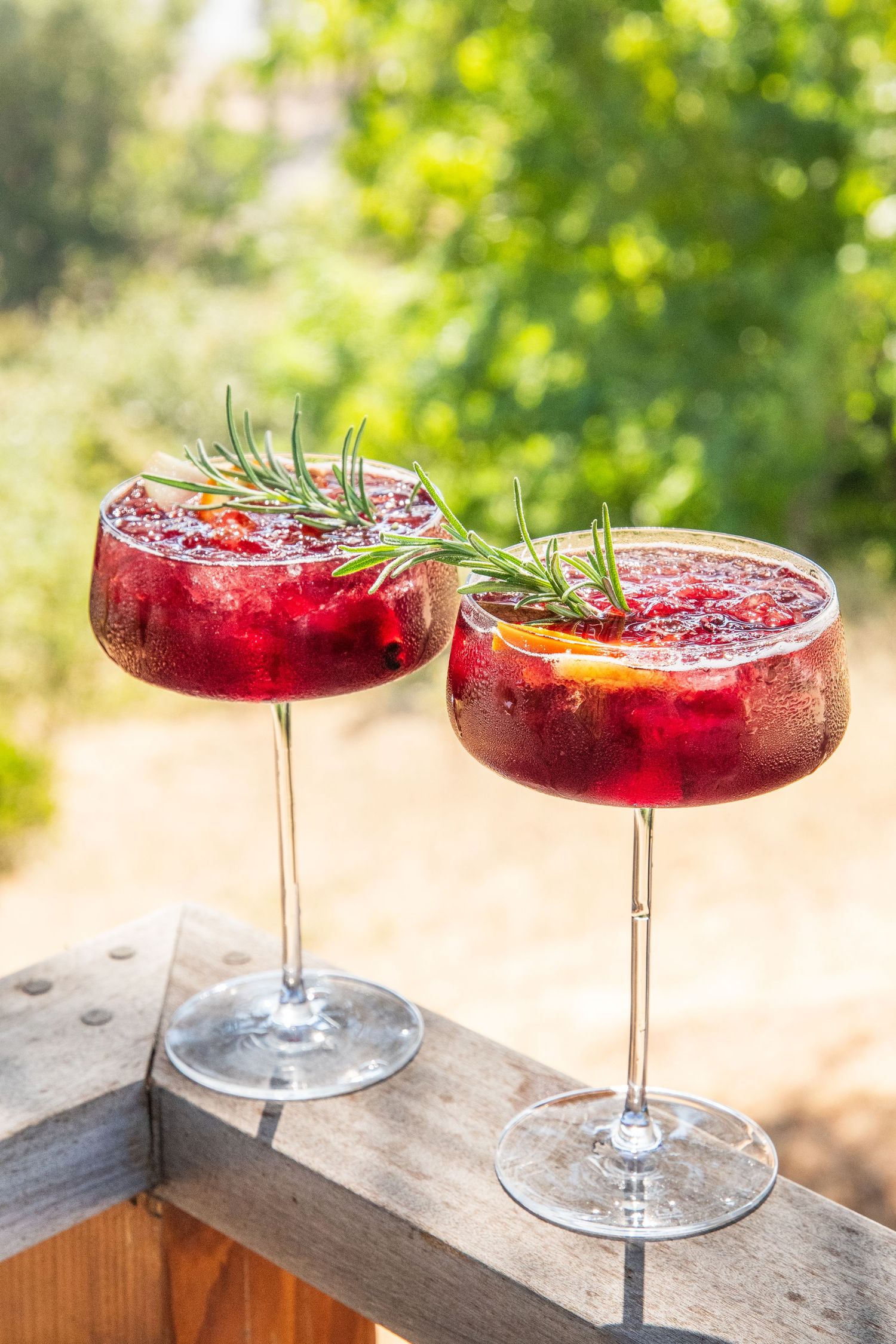 Red cocktails garnished with rosemary served in coupe glasses on wooden surface.