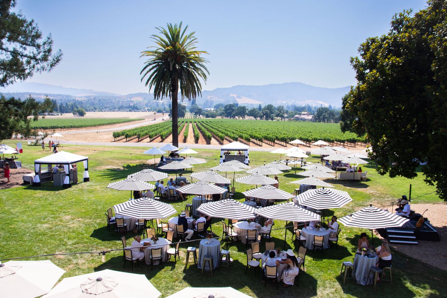 Aerial view of white tents and tables set up on a sunny lawn for an outdoor event.