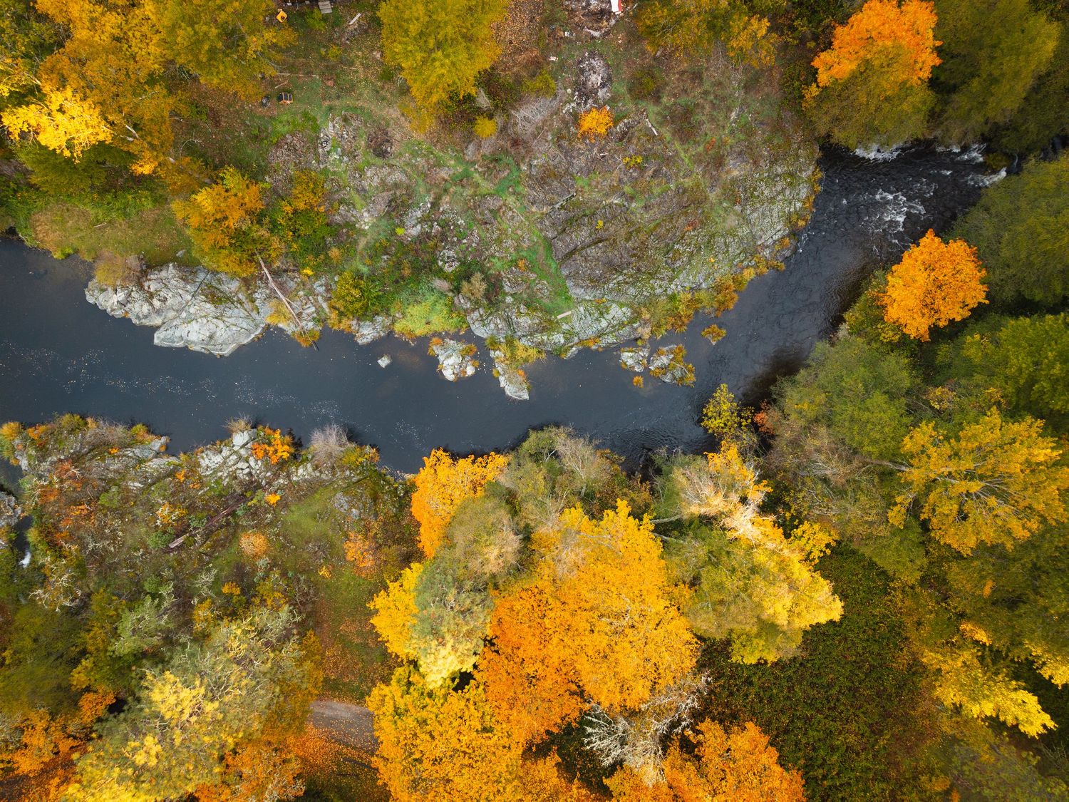 Aerial view of a winding river through vibrant autumn forest with yellow, orange, and green foliage.