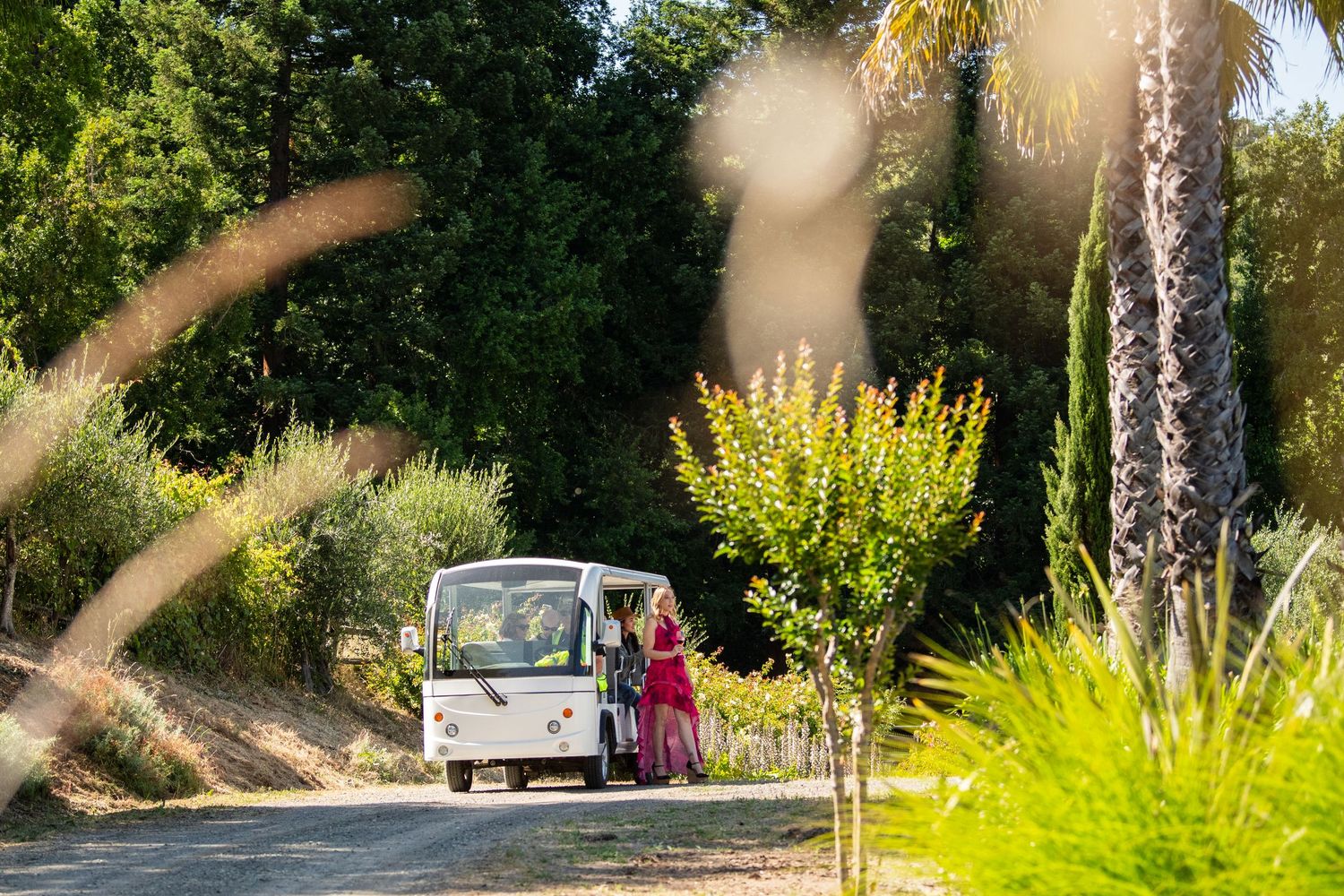 Woman in red dress standing beside a white shuttle van on a sunlit path surrounded by lush green trees and palms.