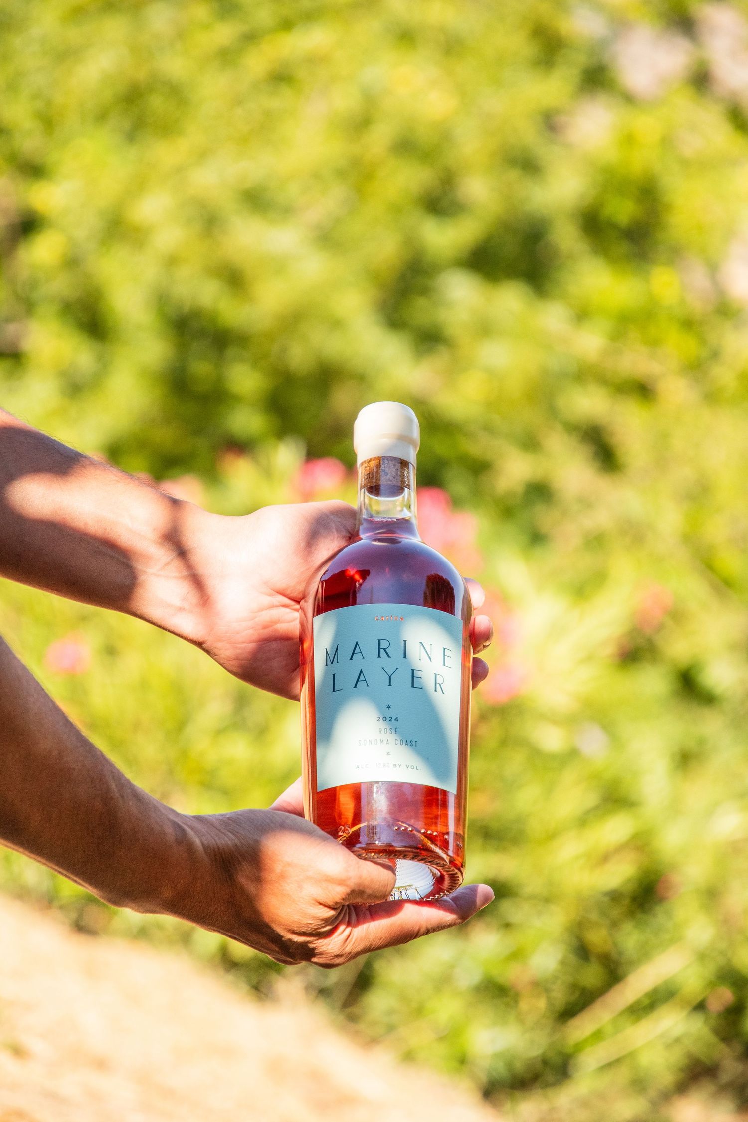 Hands holding a bottle of Marine Layer rosé wine outdoors with lush green foliage in the background.