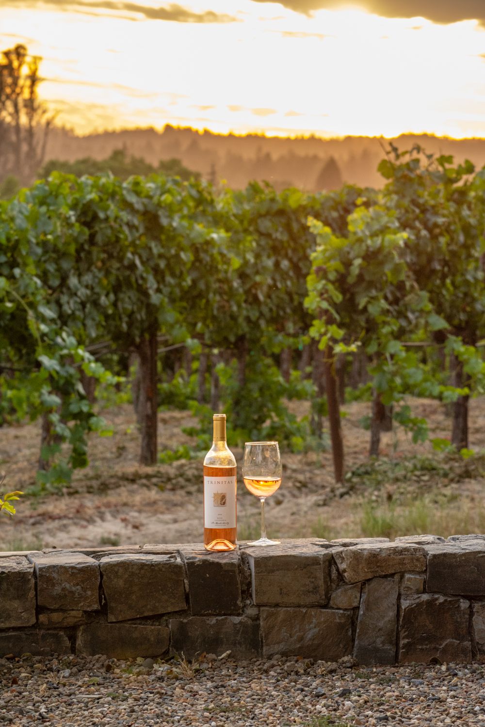 A bottle and glass of rosé wine on a stone wall overlooking lush vineyard rows at golden sunset.