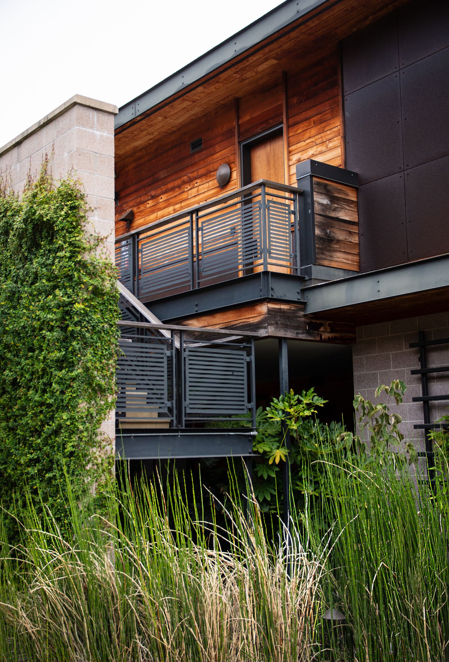 Modern winery building exterior with wood panels and ornamental grasses.