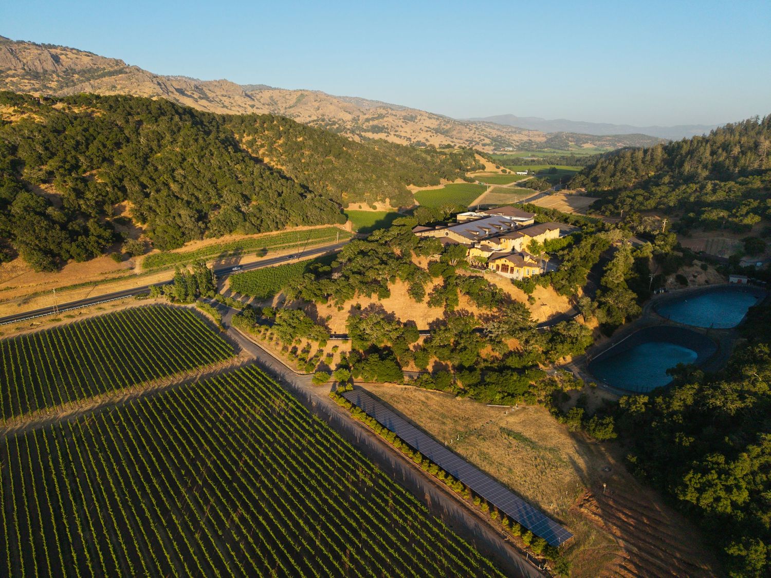 Aerial view of a scenic California winery estate with lush vineyards, rolling hills, and a serene pond surrounded by oak trees.