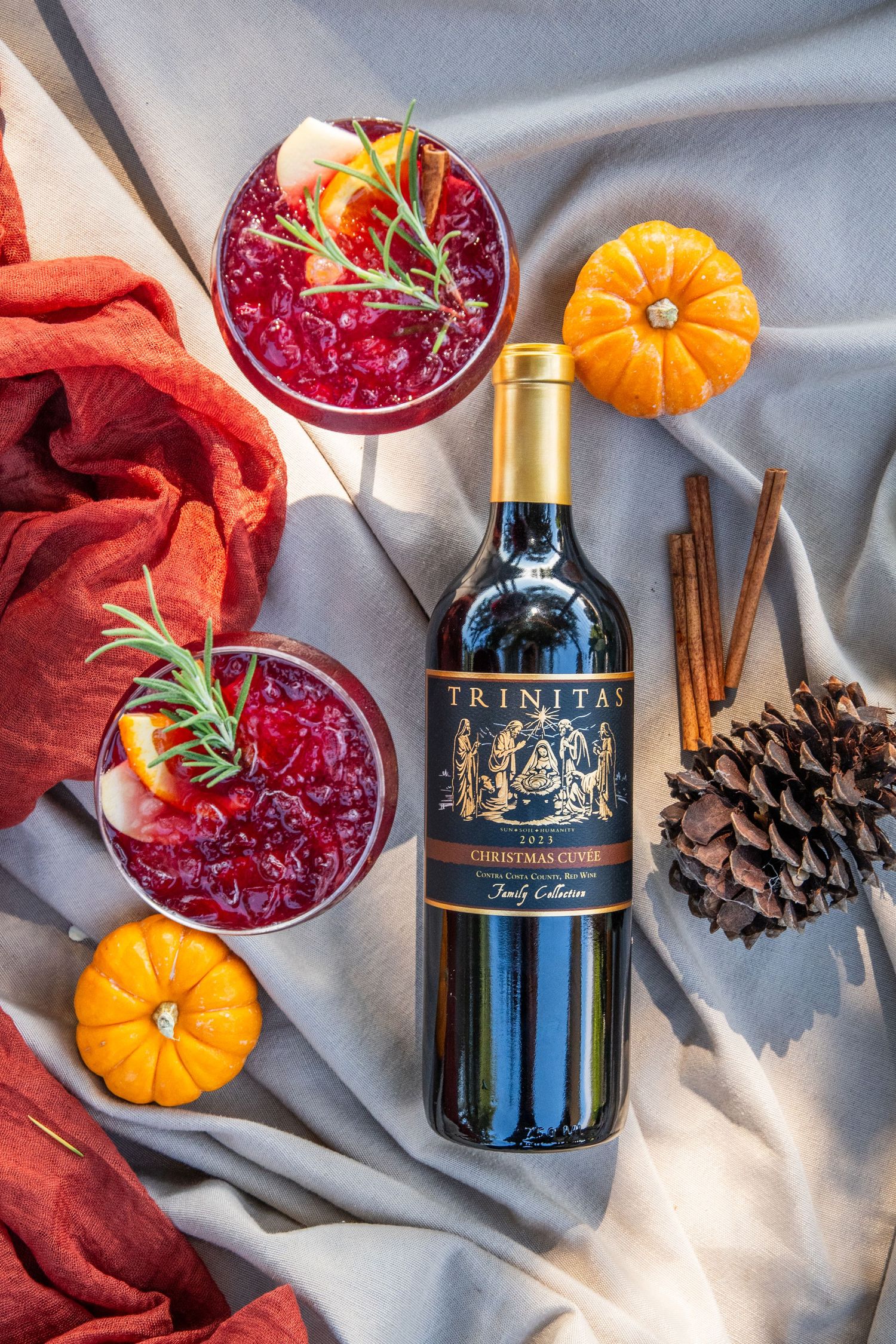 Festive cocktails with cranberry garnish displayed with mini pumpkins and pinecones.