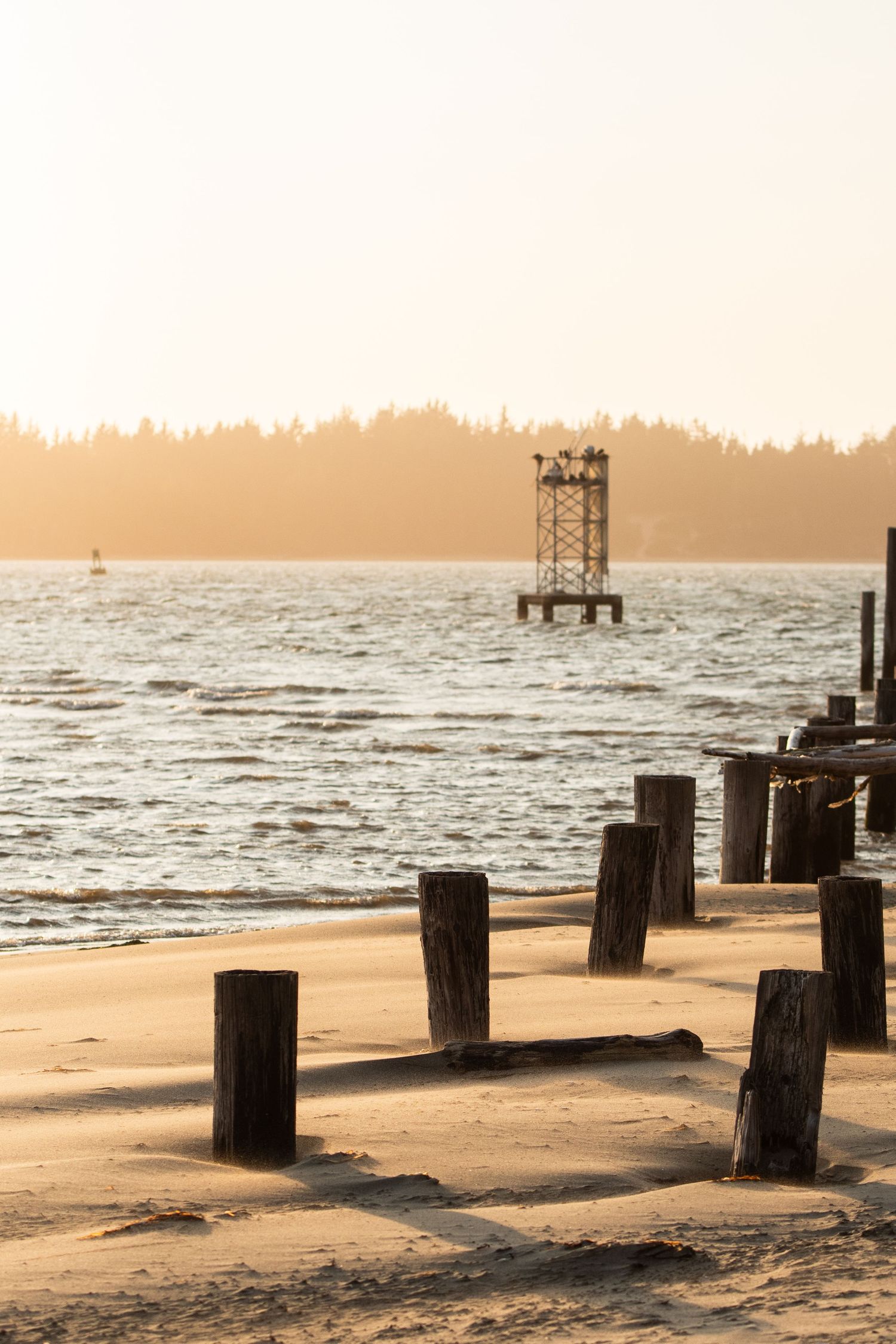 Weathered wooden posts line a sandy beach at sunset with distant ocean structures.