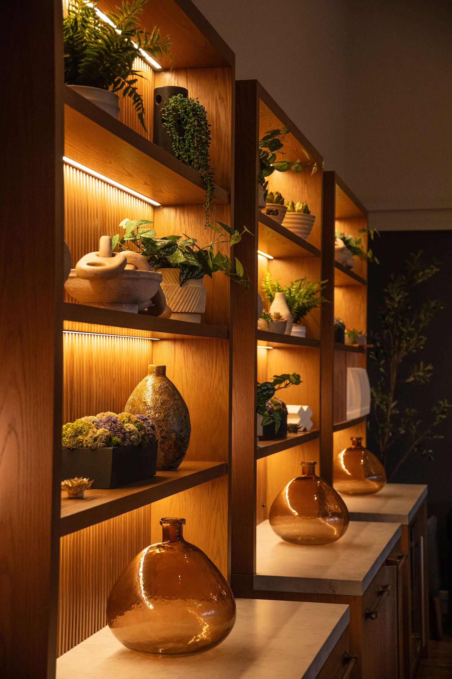 Warmly lit wooden shelving display with decorative glass vases and potted plants.