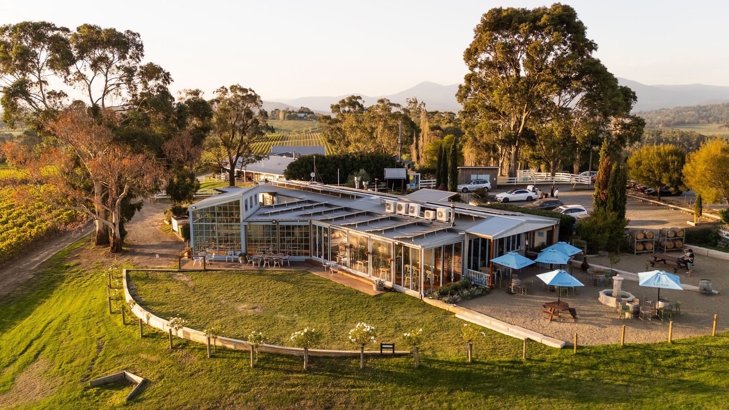 Aerial view of a modern winery building surrounded by lush vineyards and tall eucalyptus trees in a scenic valley.