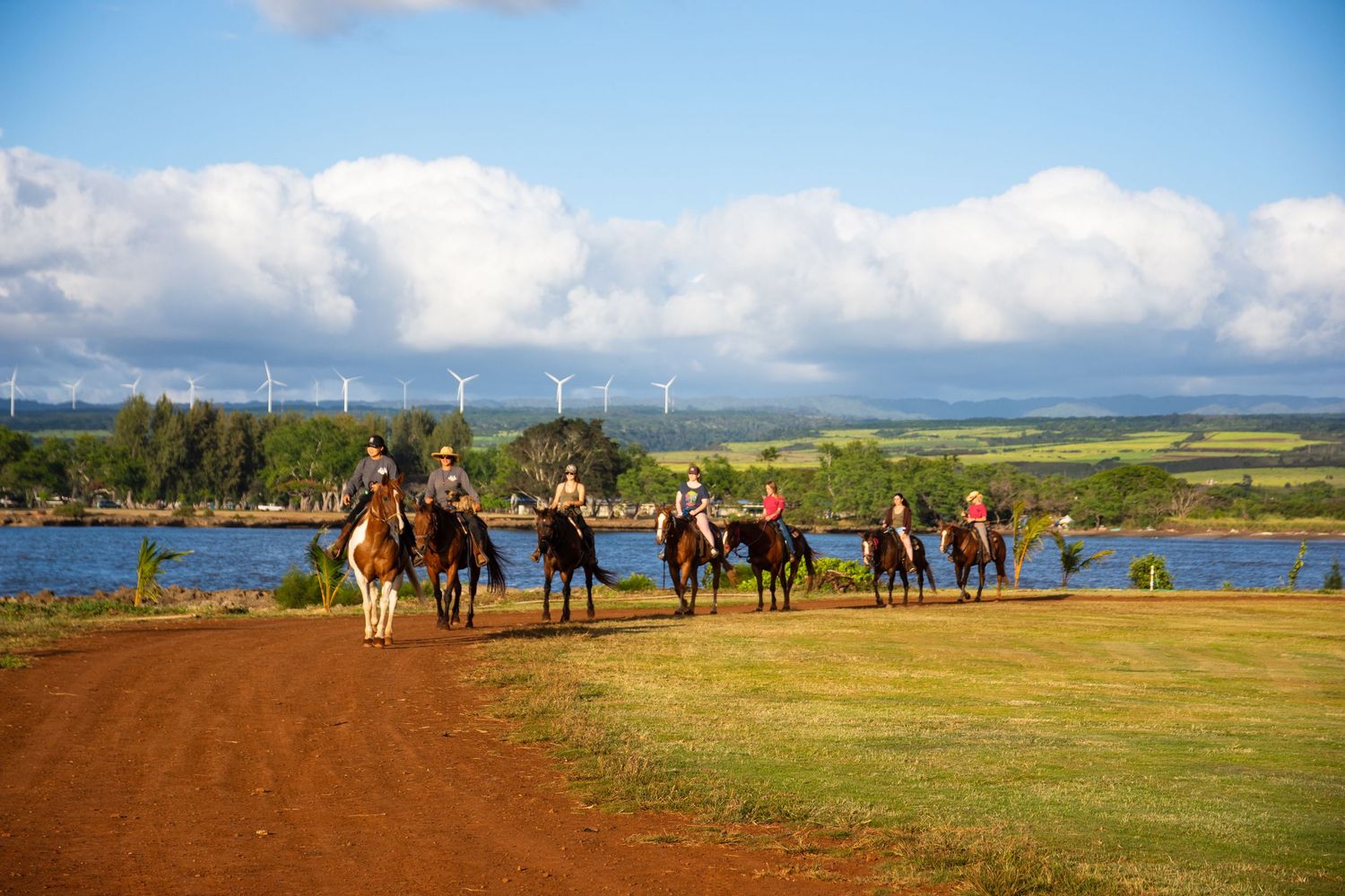 Panoramic view of horses lined up along a coastal landscape with blue skies and rolling hills.