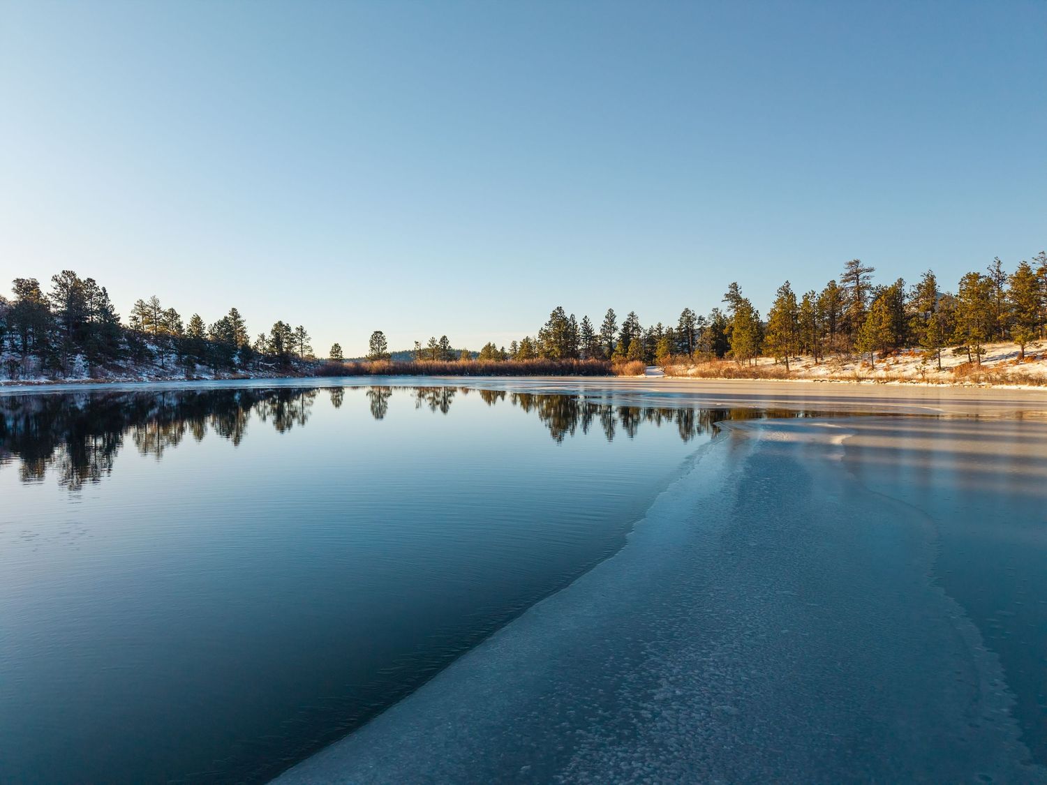 Frozen lake reflecting pine trees and clear blue sky in a serene winter landscape at golden hour.