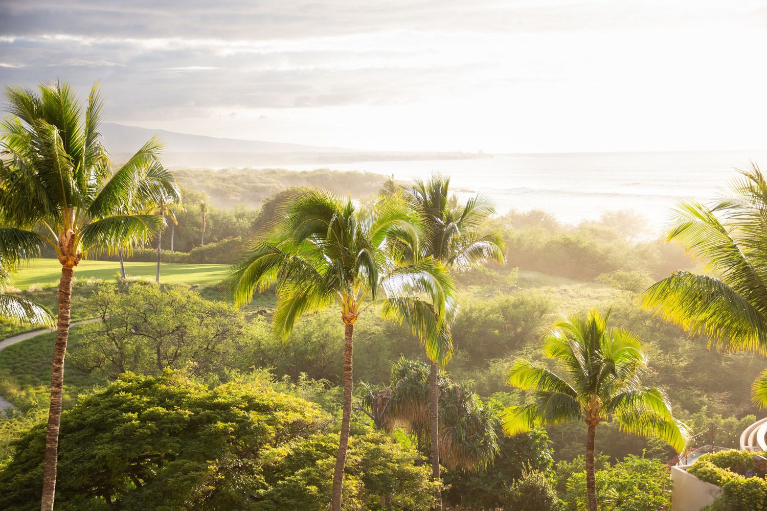 Scenic tropical landscape with palm trees silhouetted against a misty morning sky.