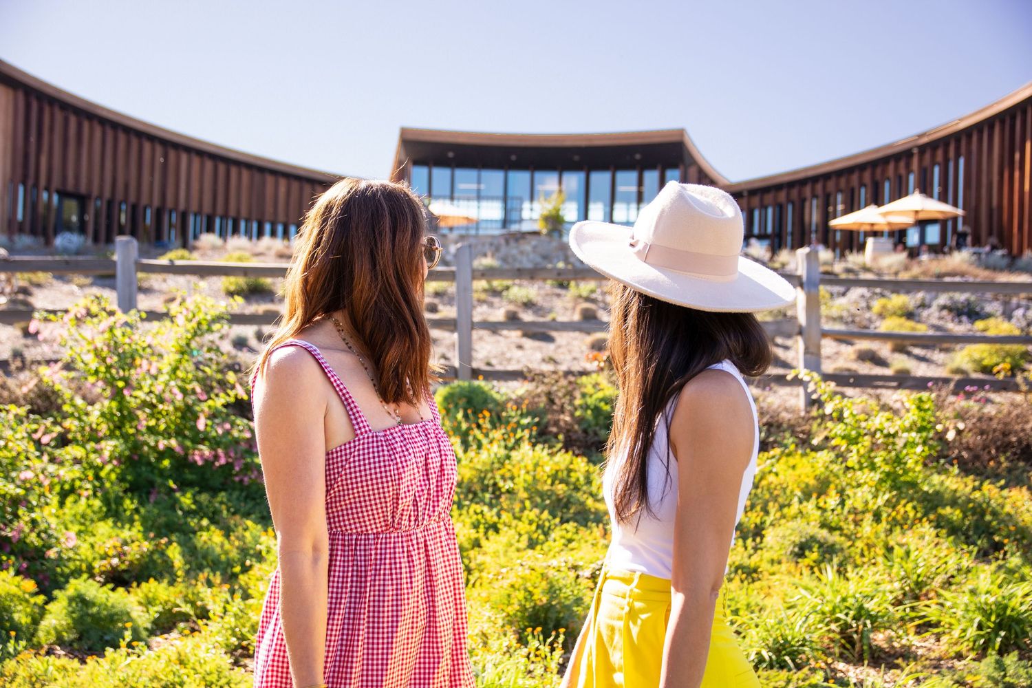 Modern winery building with curved architecture and outdoor seating area surrounded by vineyards.