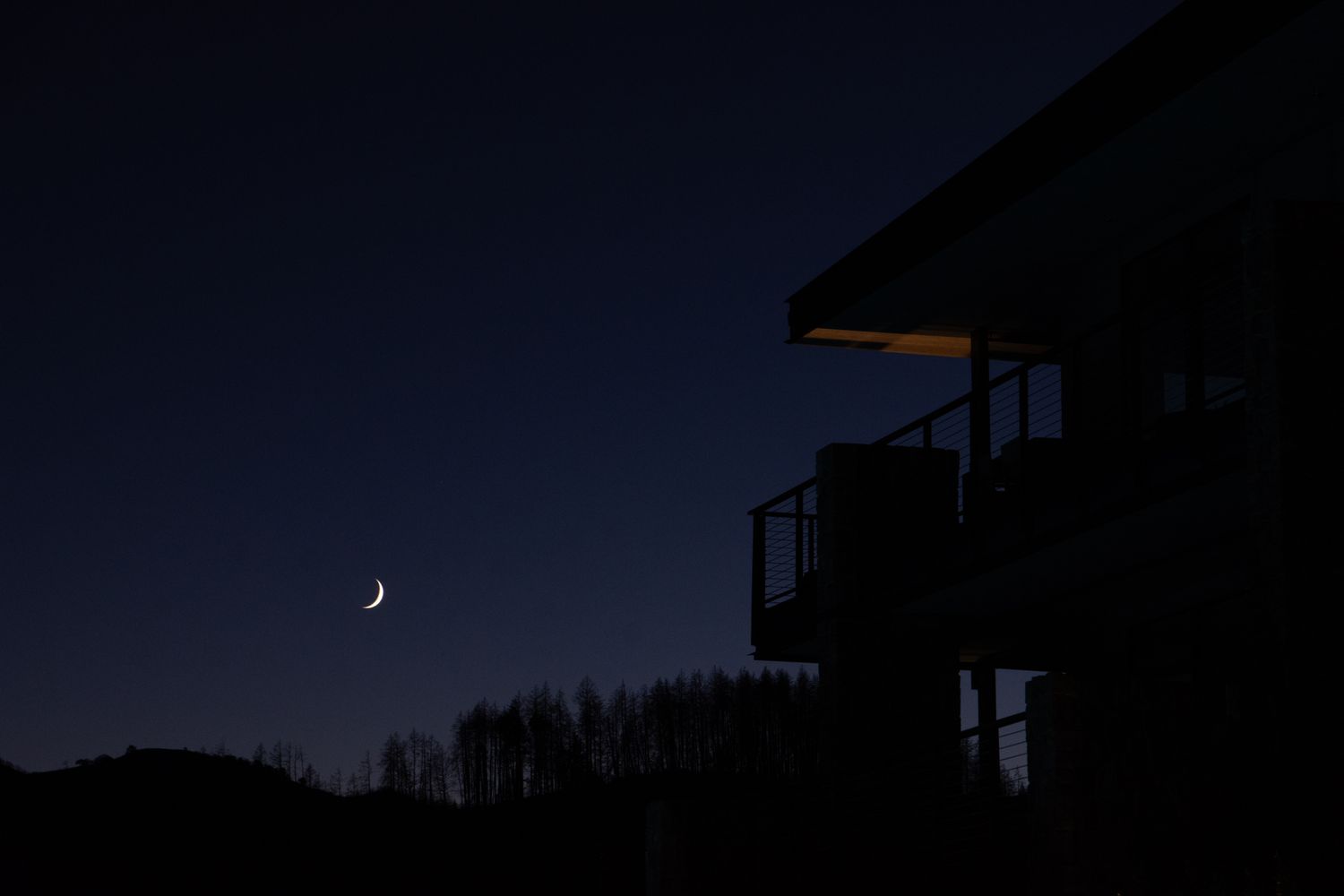 Silhouettes of buildings and palm trees against dark night sky with crescent moon.