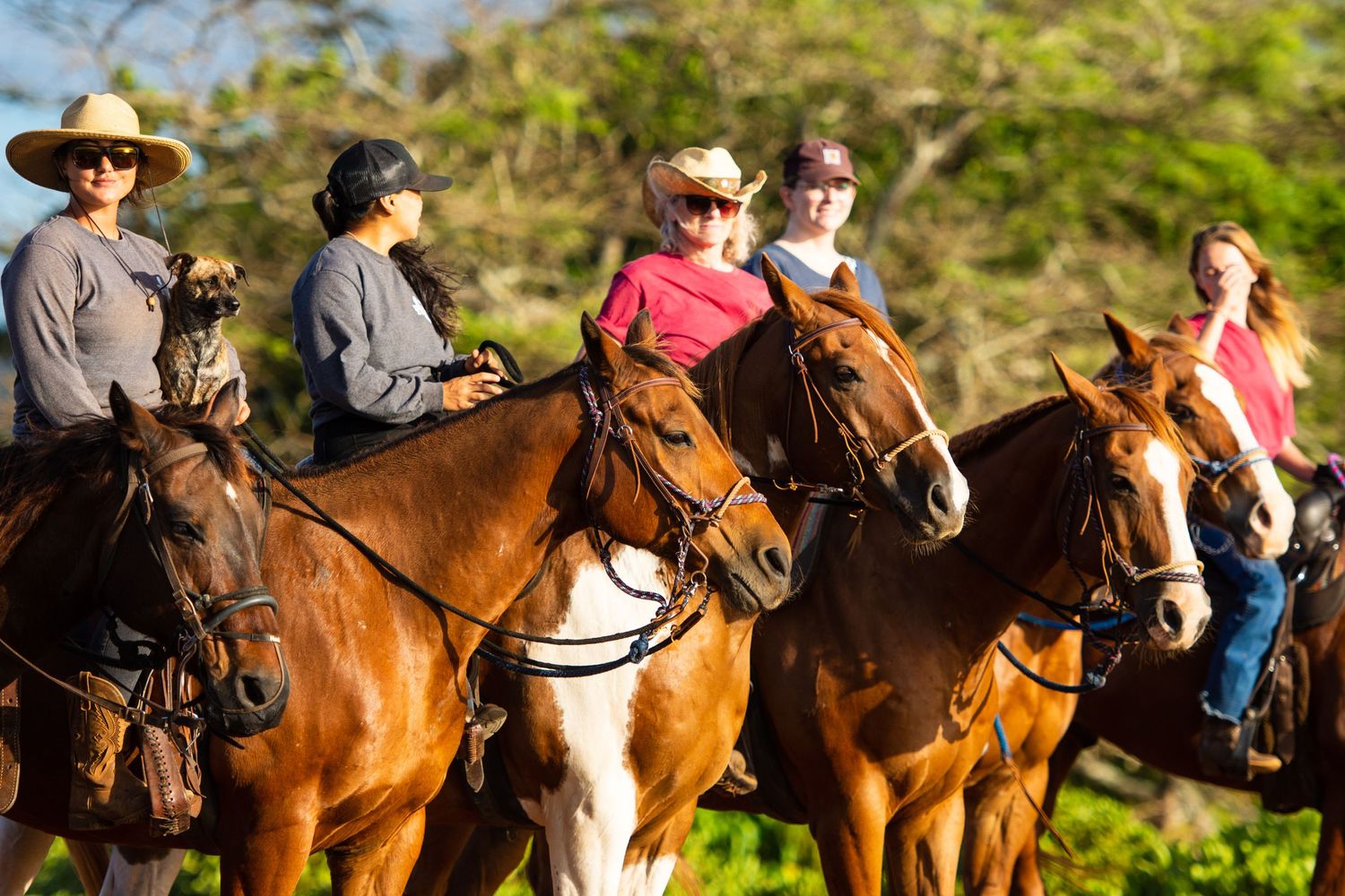 Horseback riders traversing a scenic trail with mountain views.