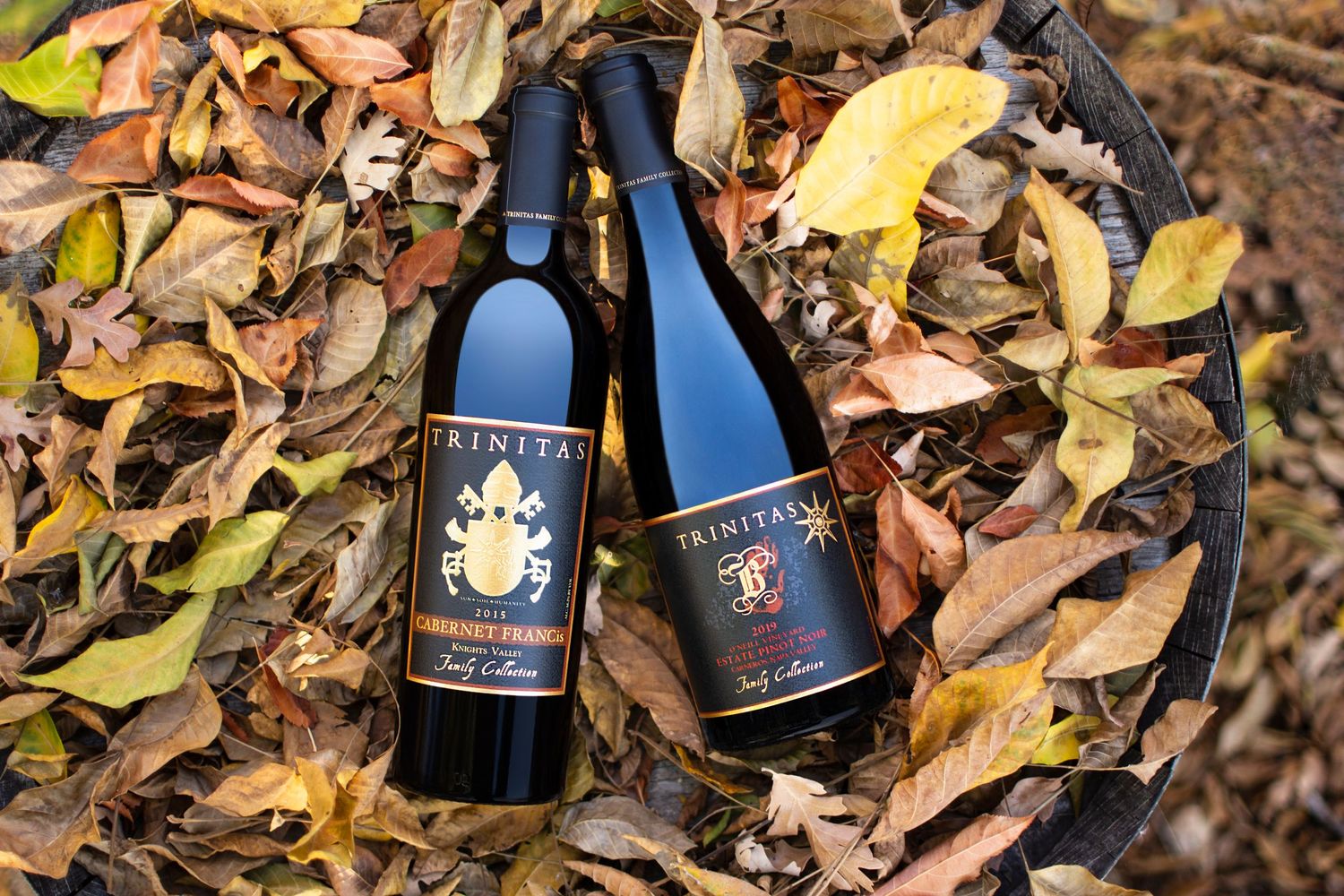 Wine bottles nestled in autumn leaves creating a seasonal vineyard display.