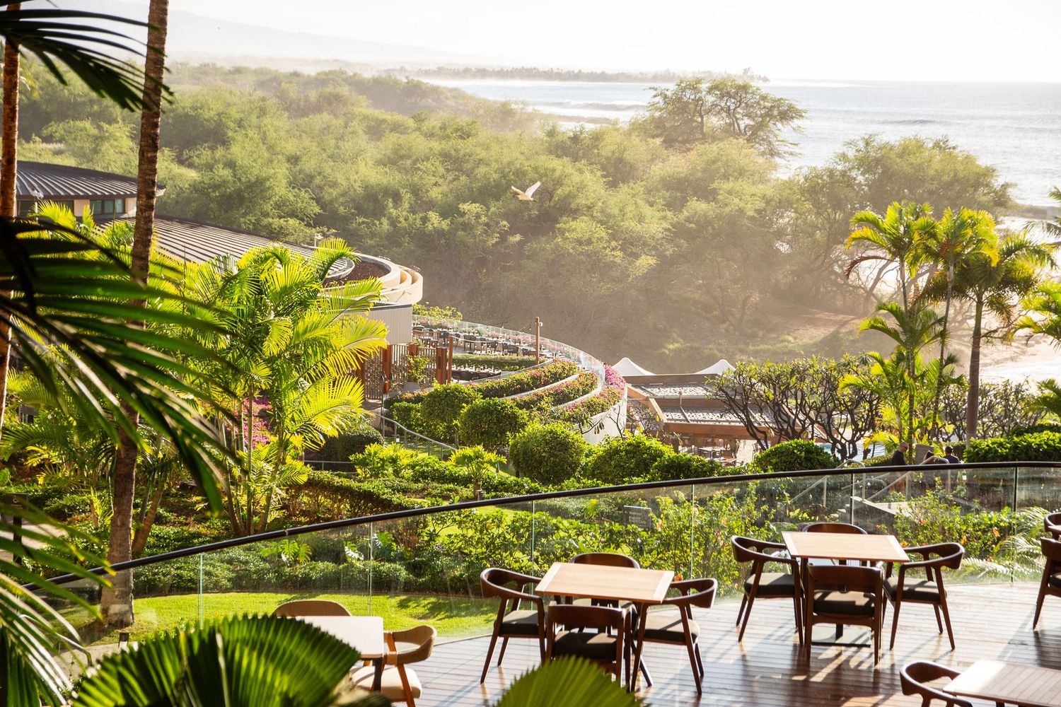 Tropical restaurant terrace with ocean views and palm fronds.